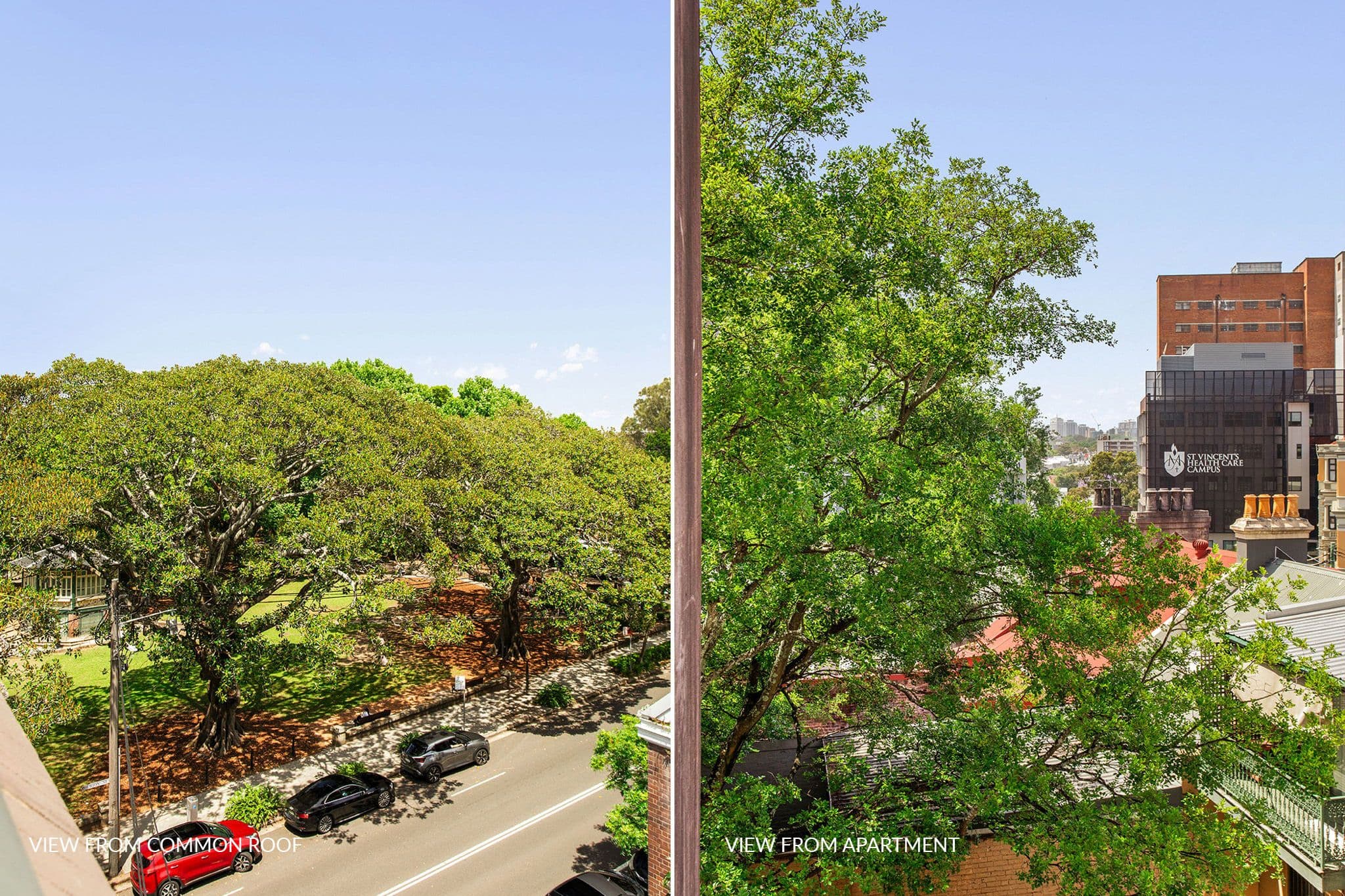 44 Hardie Street , Darlinghurst NSW 2010, Darlinghurst - Thumbnail 3