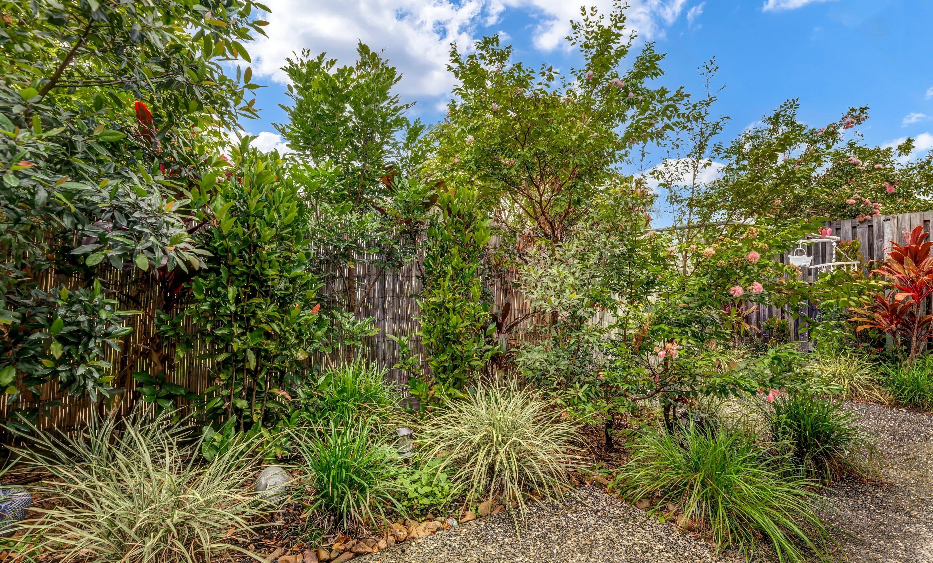 2 Pandanus Place , Upper Coomera QLD 4209, Upper Coomera - Thumbnail 7