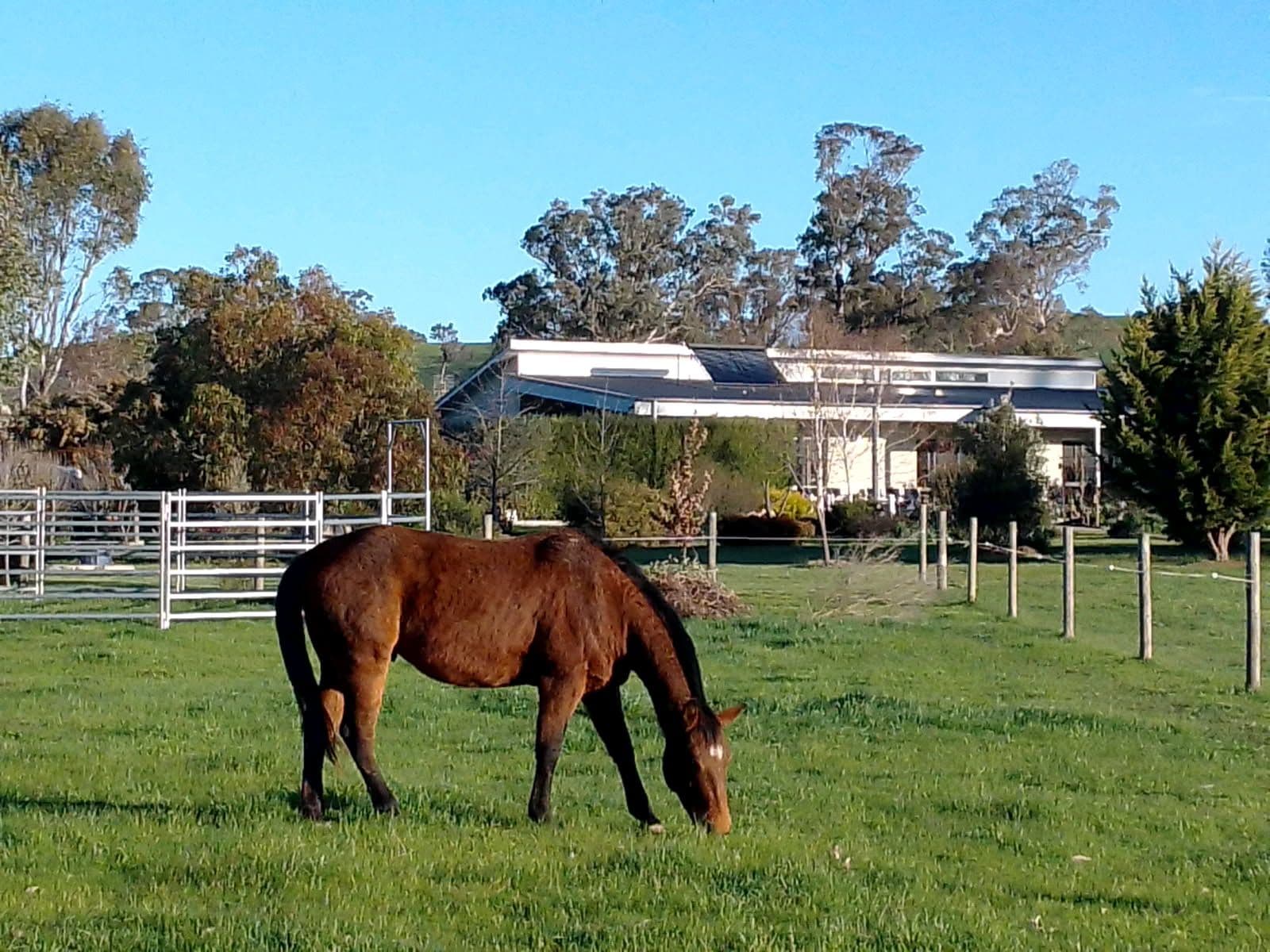945 Howes Creek Road , Mansfield VIC 3722, Mansfield - Image 1