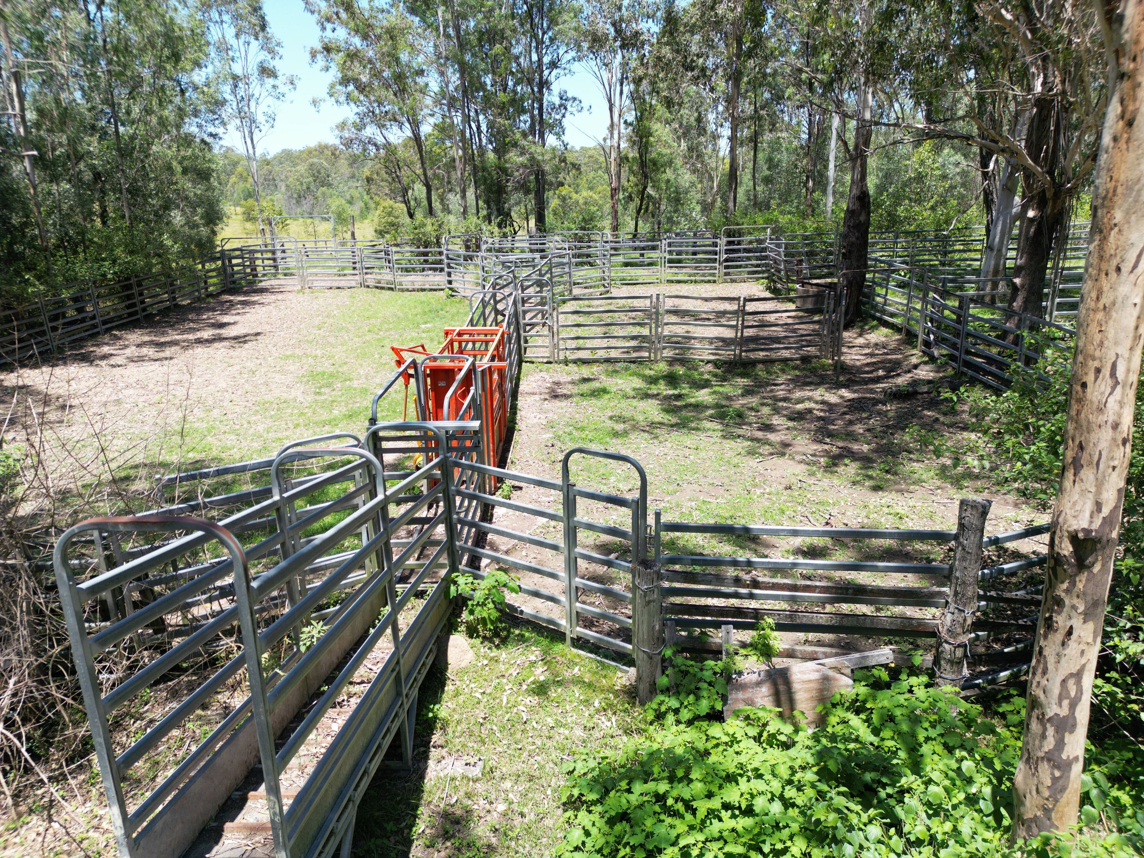 465 Ellangowan Myrtle Creek Road , Ellangowan NSW 2470, Ellangowan - Thumbnail 7