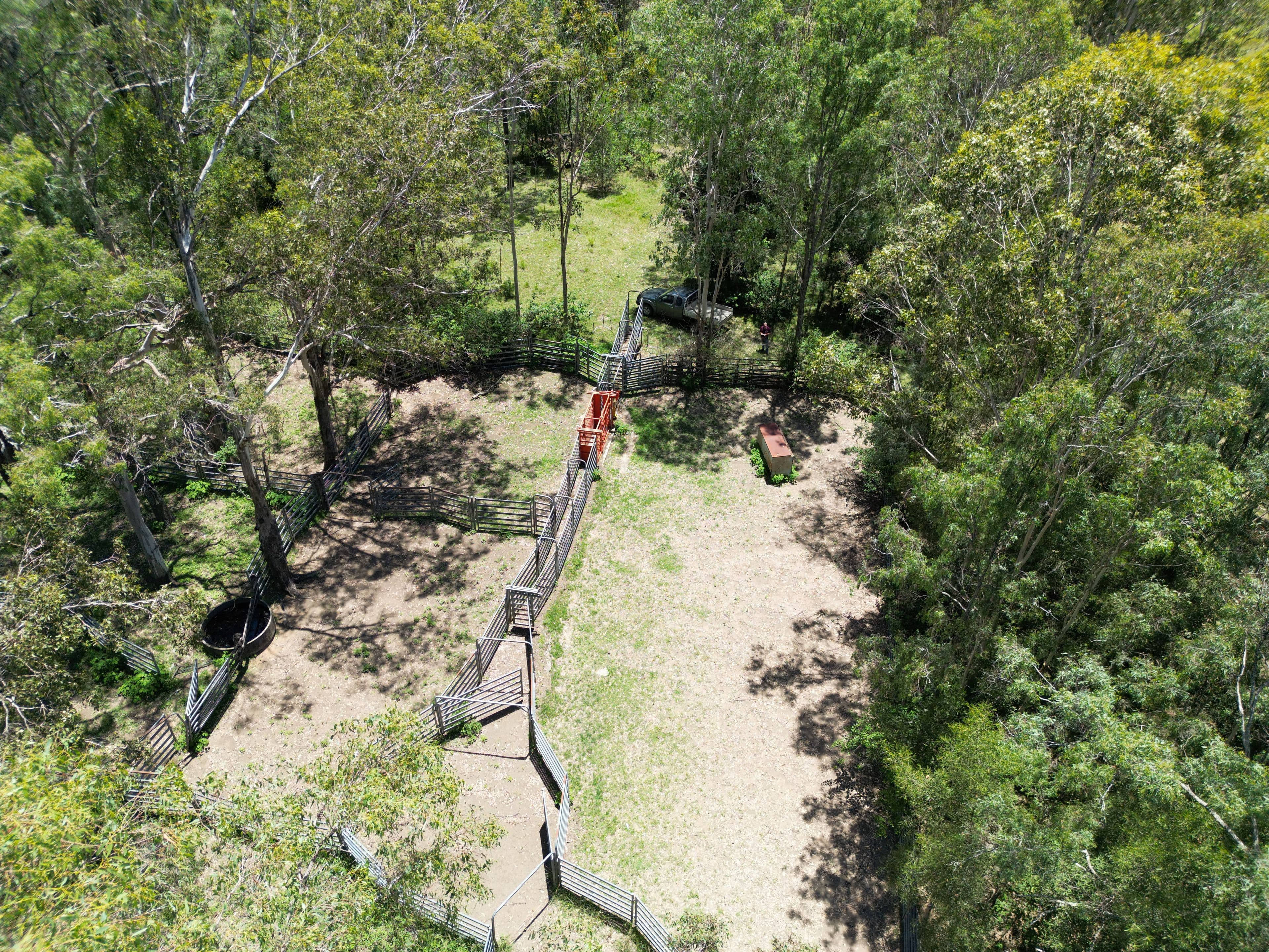 465 Ellangowan Myrtle Creek Road , Ellangowan NSW 2470, Ellangowan - Thumbnail 8