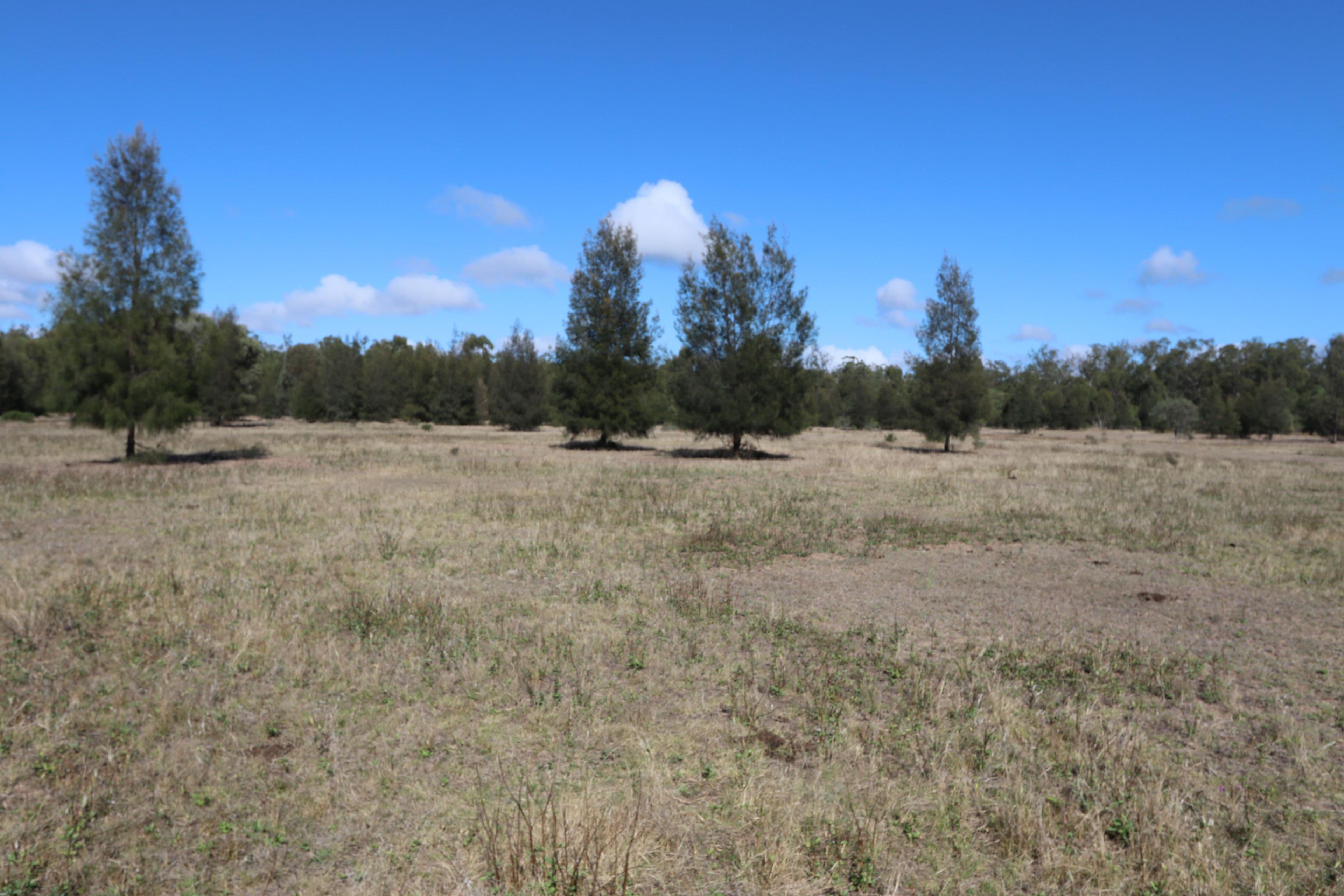 0 Ouston Access Road , Duaringa QLD 4712, Duaringa - Thumbnail 3