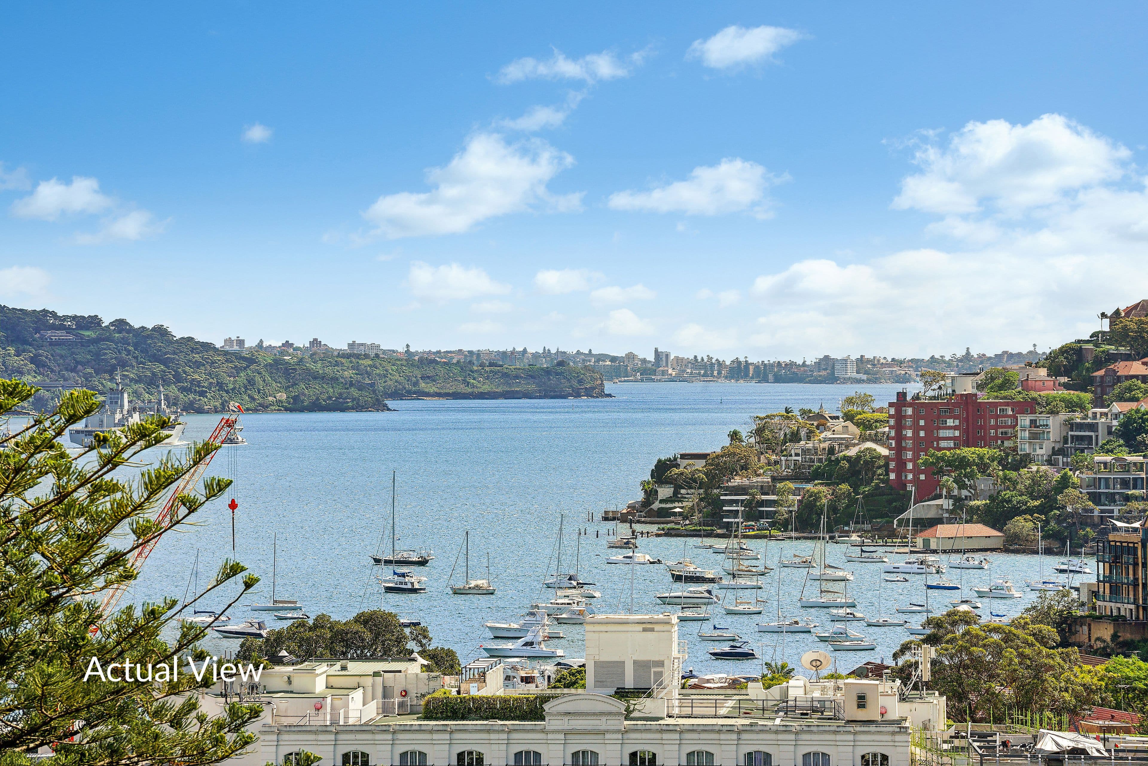 351 Edgecliff Road , Edgecliff NSW 2027, Edgecliff - Thumbnail 2