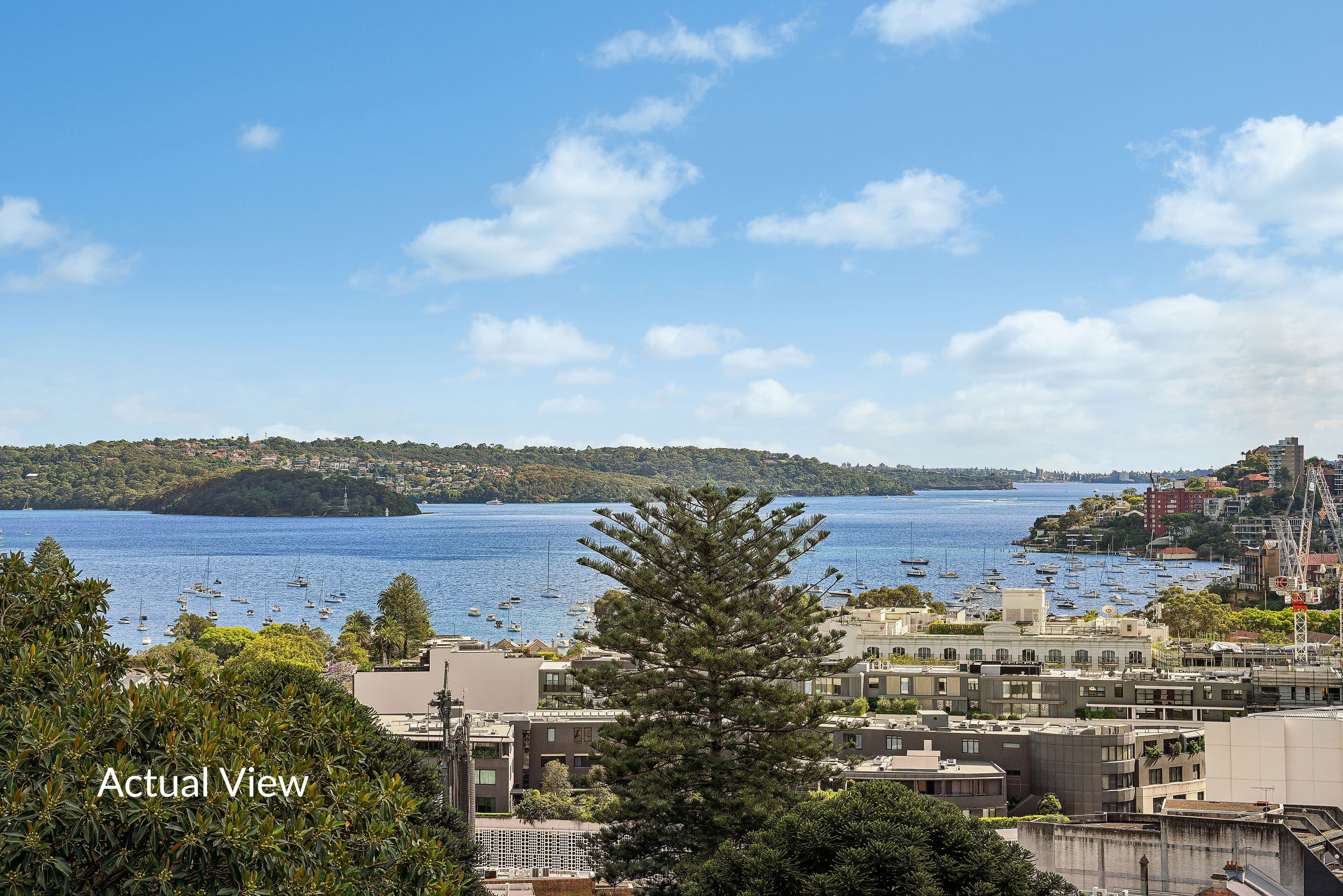 351 Edgecliff Road , Edgecliff NSW 2027, Edgecliff - Thumbnail 7