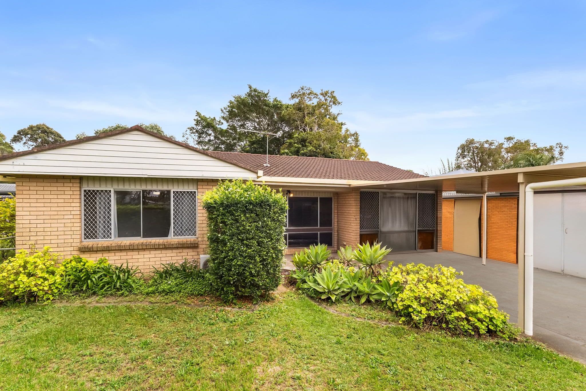 39 Alkeeba Street , Banyo QLD 4014, Banyo - Thumbnail 2