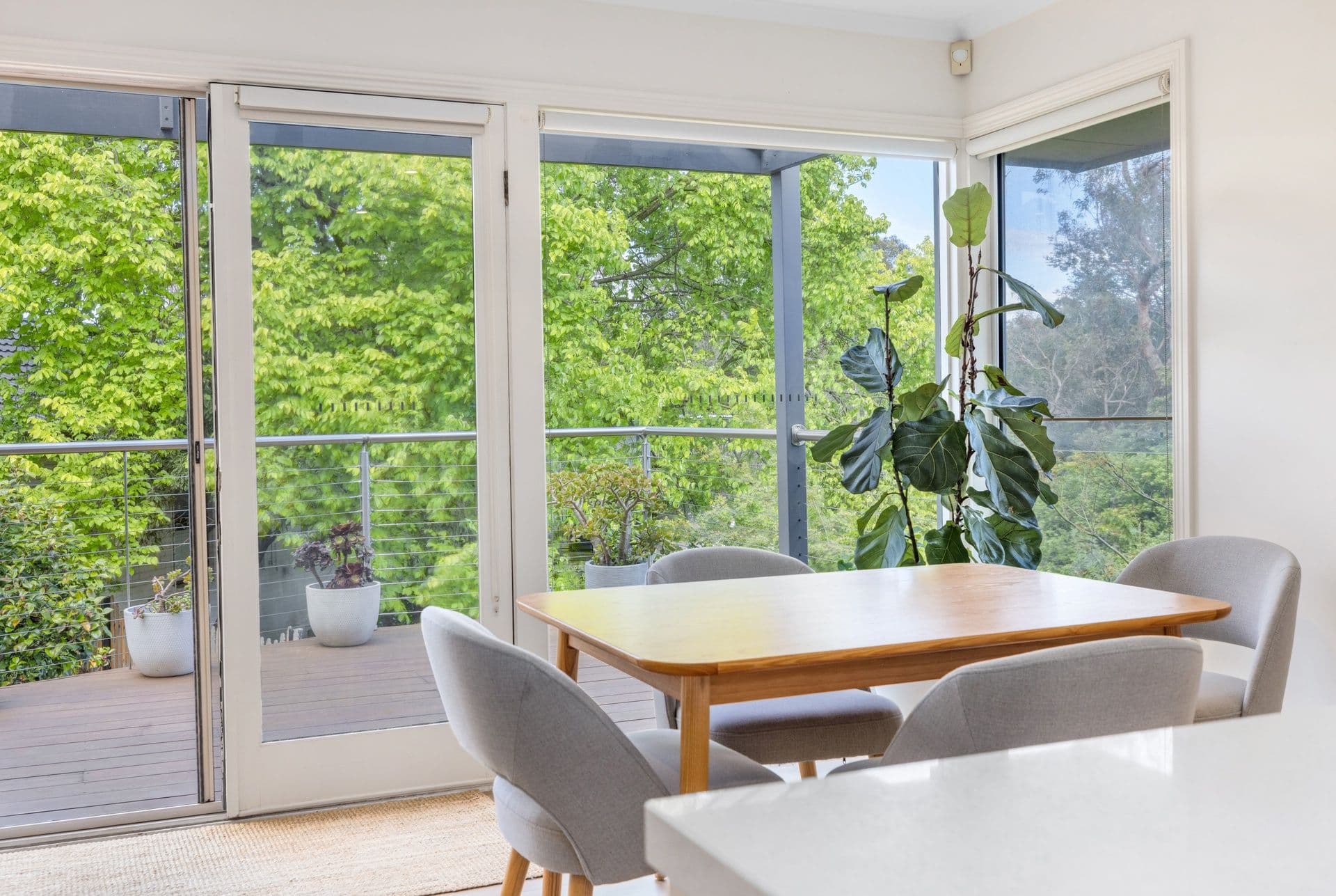 4 Palm Court , Mount Waverley VIC 3149, Mount Waverley - Thumbnail 5