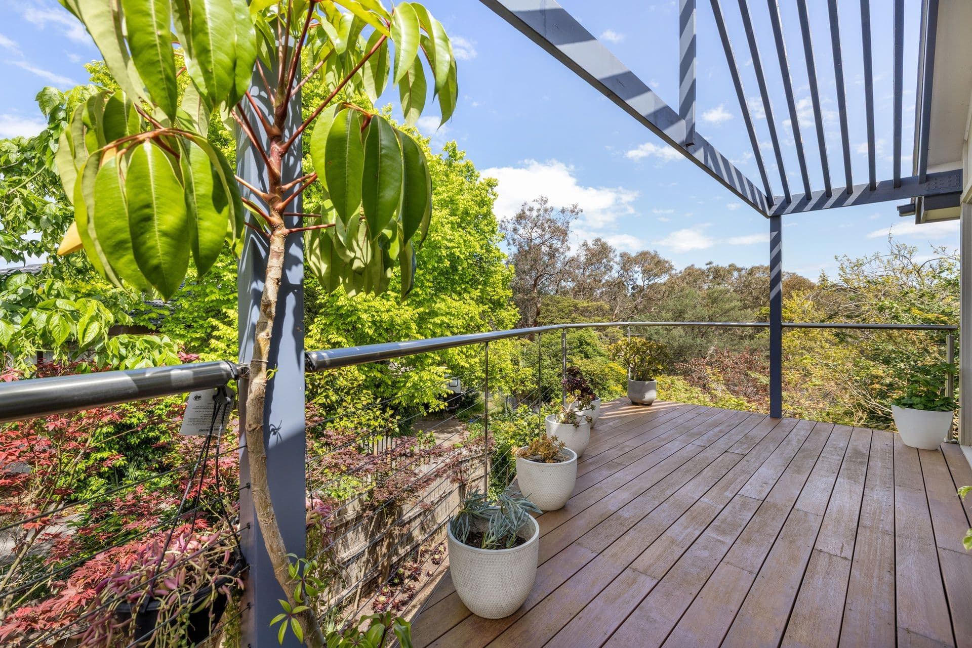 4 Palm Court , Mount Waverley VIC 3149, Mount Waverley - Thumbnail 8