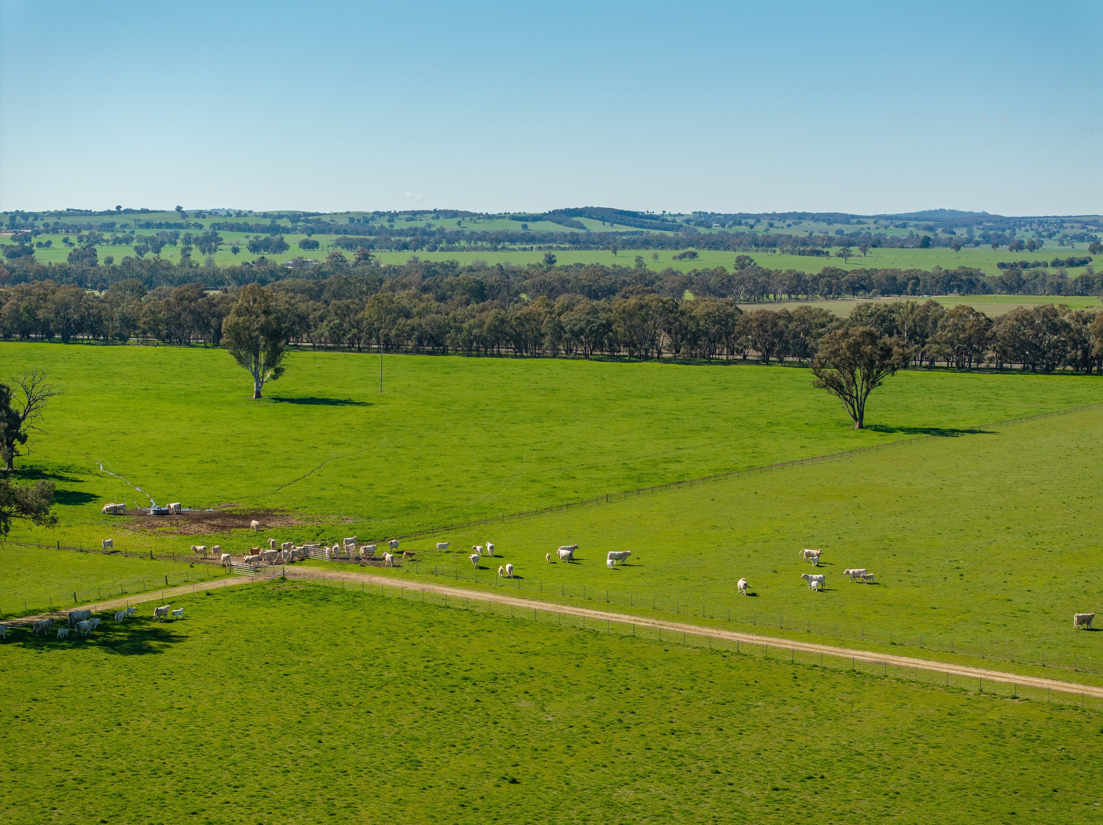 2018 Henty Cookardinia Road , Cookardinia NSW 2650, Cookardinia - Image 1