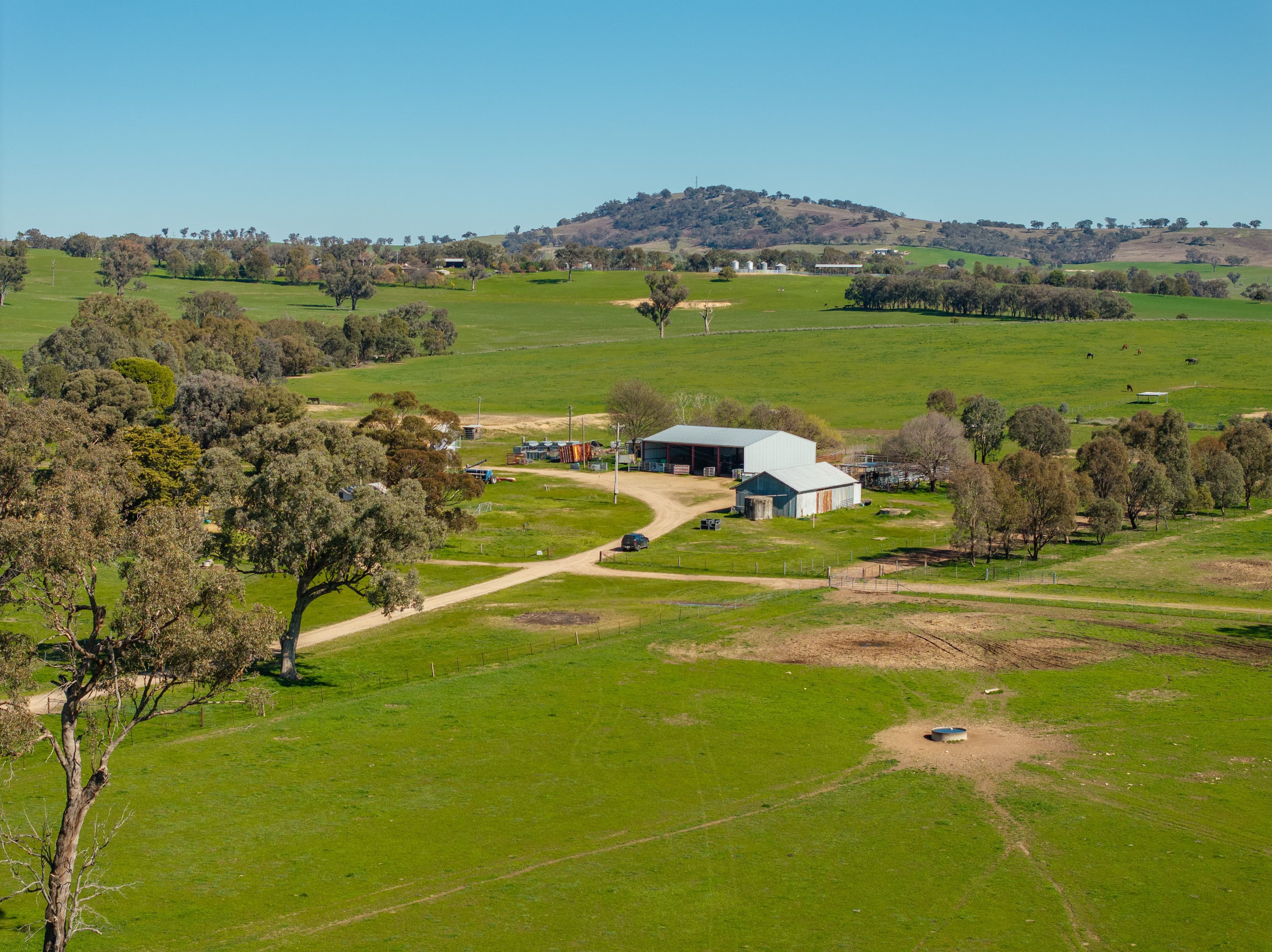 2018 Henty Cookardinia Road , Cookardinia NSW 2650, Cookardinia - Thumbnail 3
