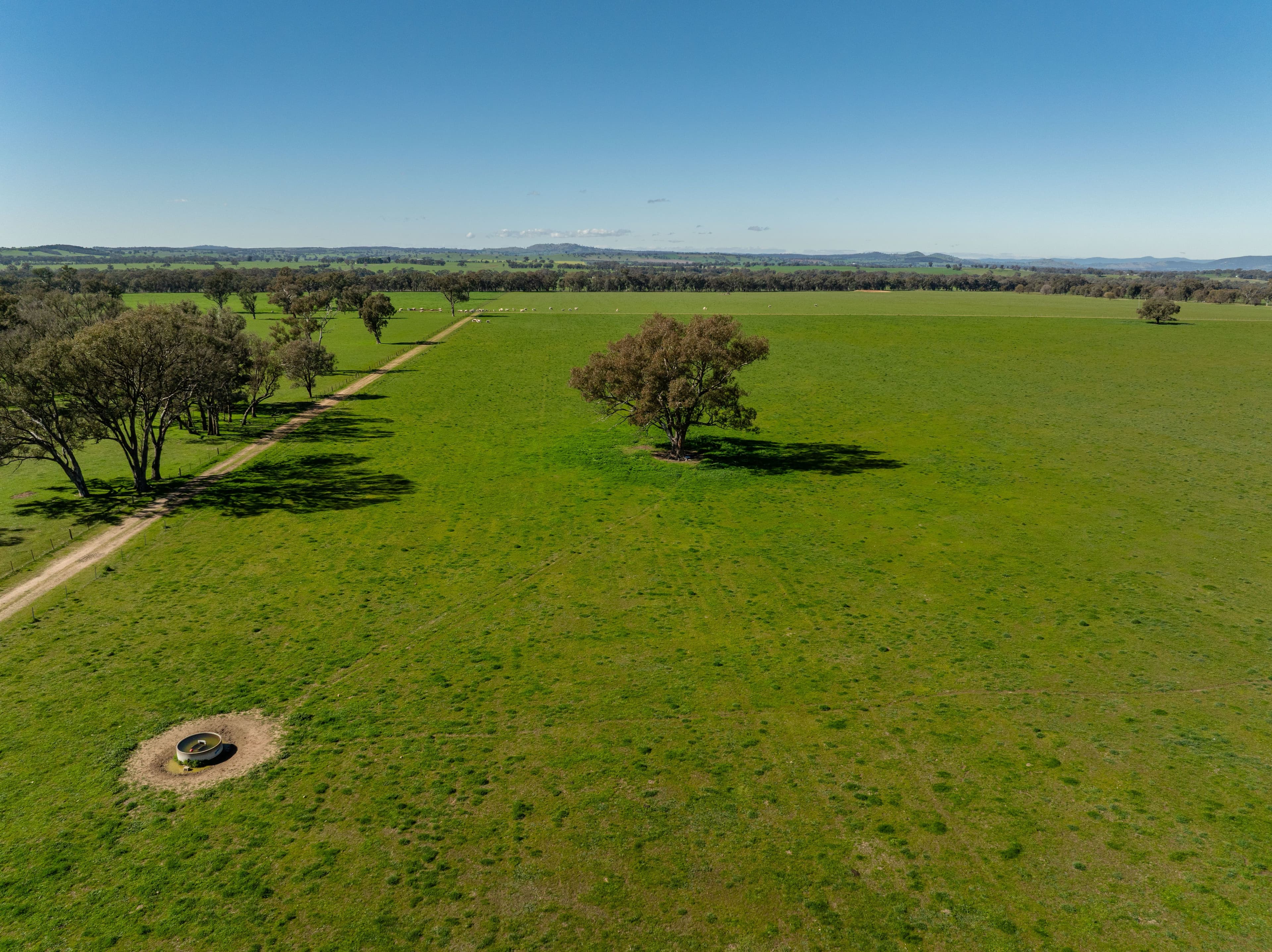 2018 Henty Cookardinia Road , Cookardinia NSW 2650, Cookardinia - Thumbnail 8