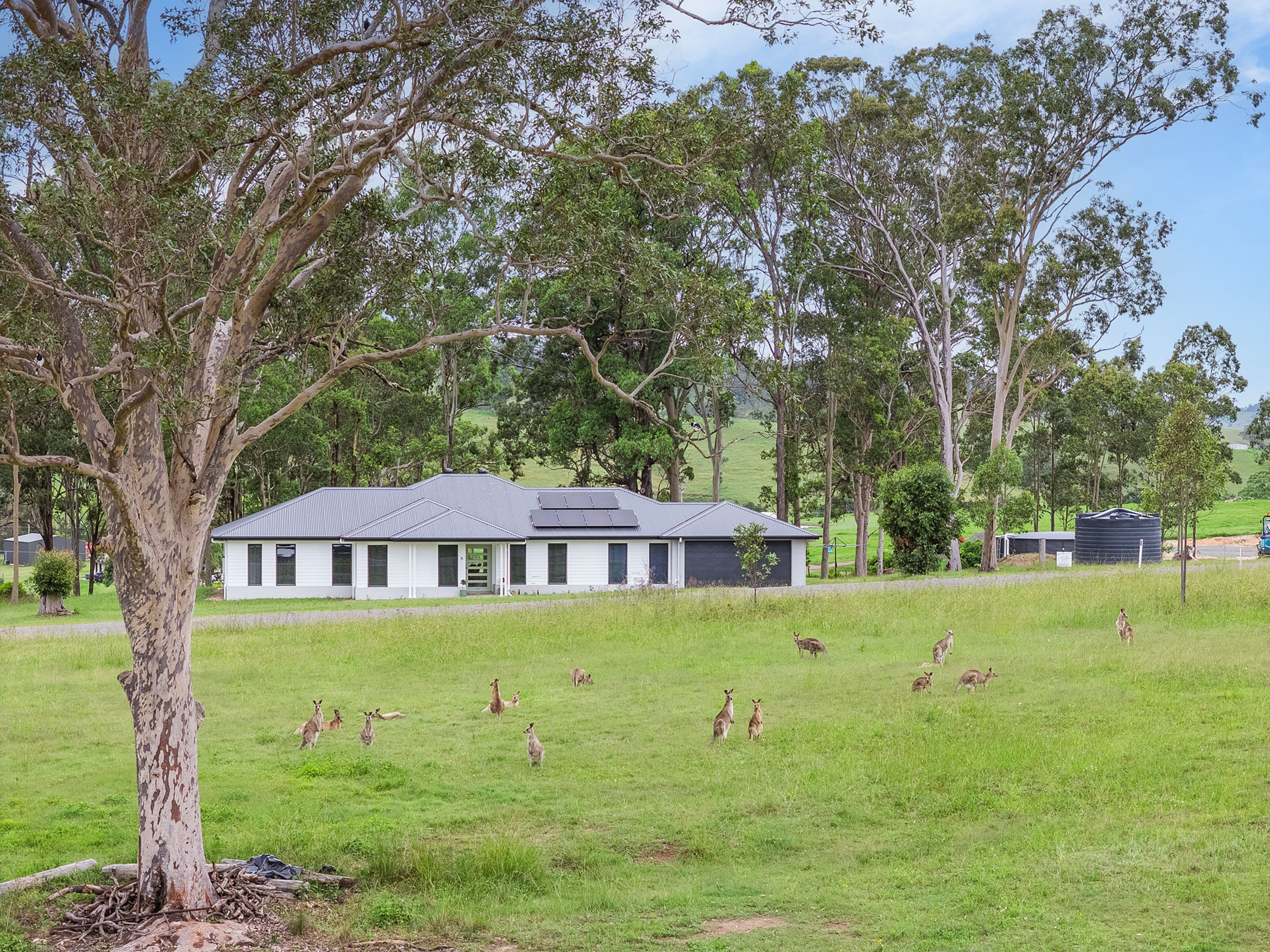 11 Burrawang Close , East Gresford NSW 2311, East Gresford - Image 1