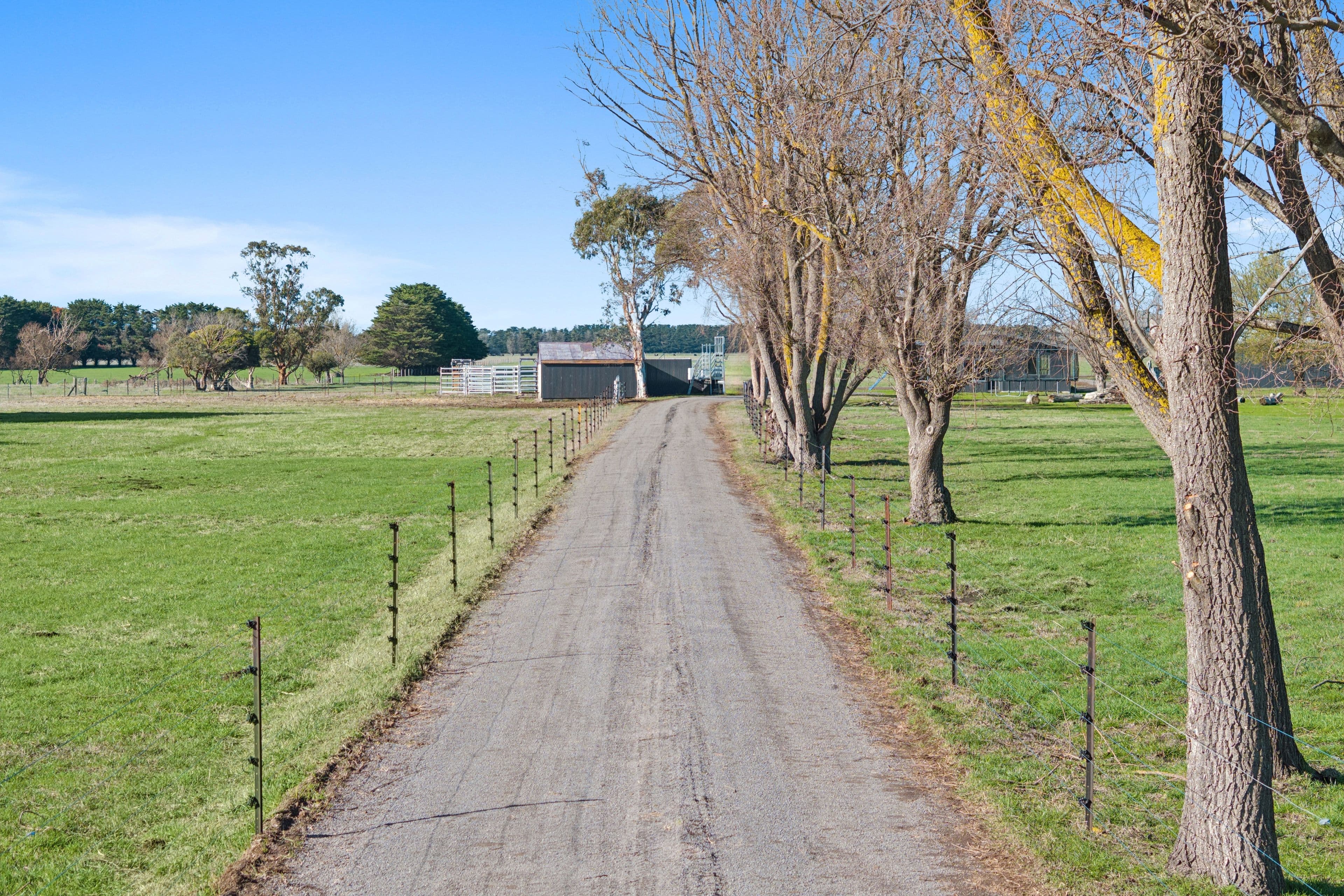 200 Camperdown-Lismore Road , Camperdown VIC 3260, Camperdown - Thumbnail 2