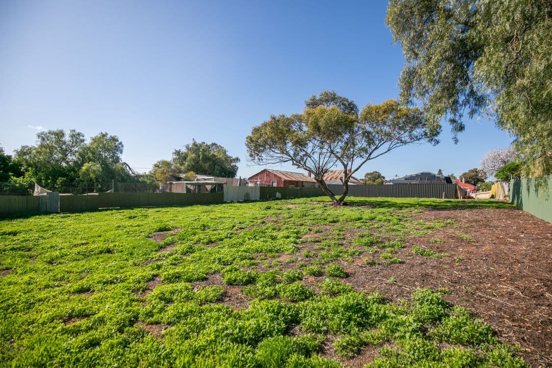 38A Willow Avenue, MURRAY BRIDGE, SA 5253, Murray Bridge - Thumbnail 6