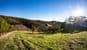 64 Crescent Drive, NORTON SUMMIT, SA 5136, Norton Summit - Thumbnail 4