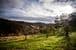 64 Crescent Drive, NORTON SUMMIT, SA 5136, Norton Summit - Thumbnail 7