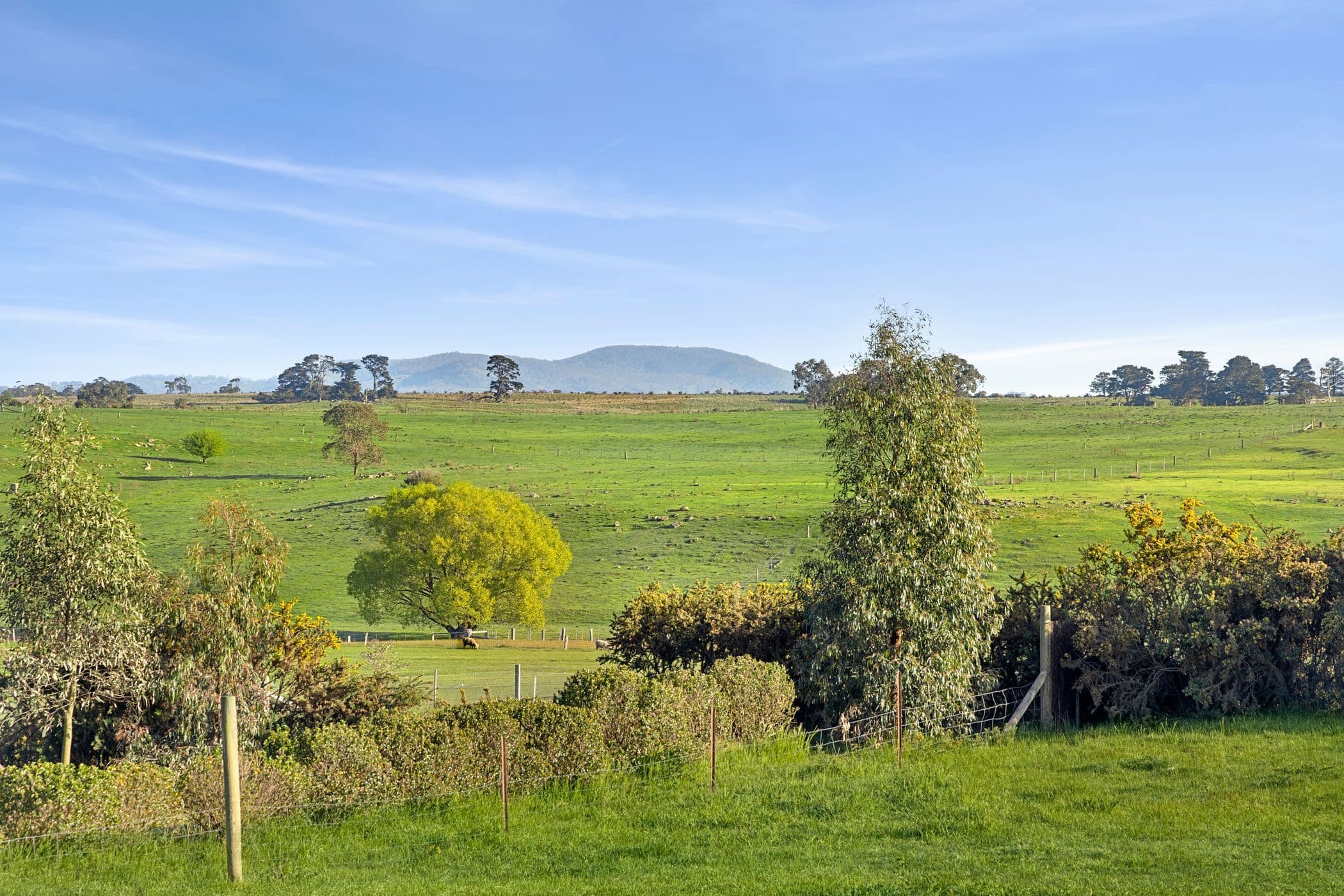 12 Young Street , Malmsbury VIC 3446, Malmsbury - Thumbnail 4