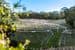 Section 385 Lobethal Road, FOREST RANGE, SA 5139, Forest Range - Thumbnail 7