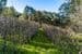 Section 385 Lobethal Road, FOREST RANGE, SA 5139, Forest Range - Thumbnail 8
