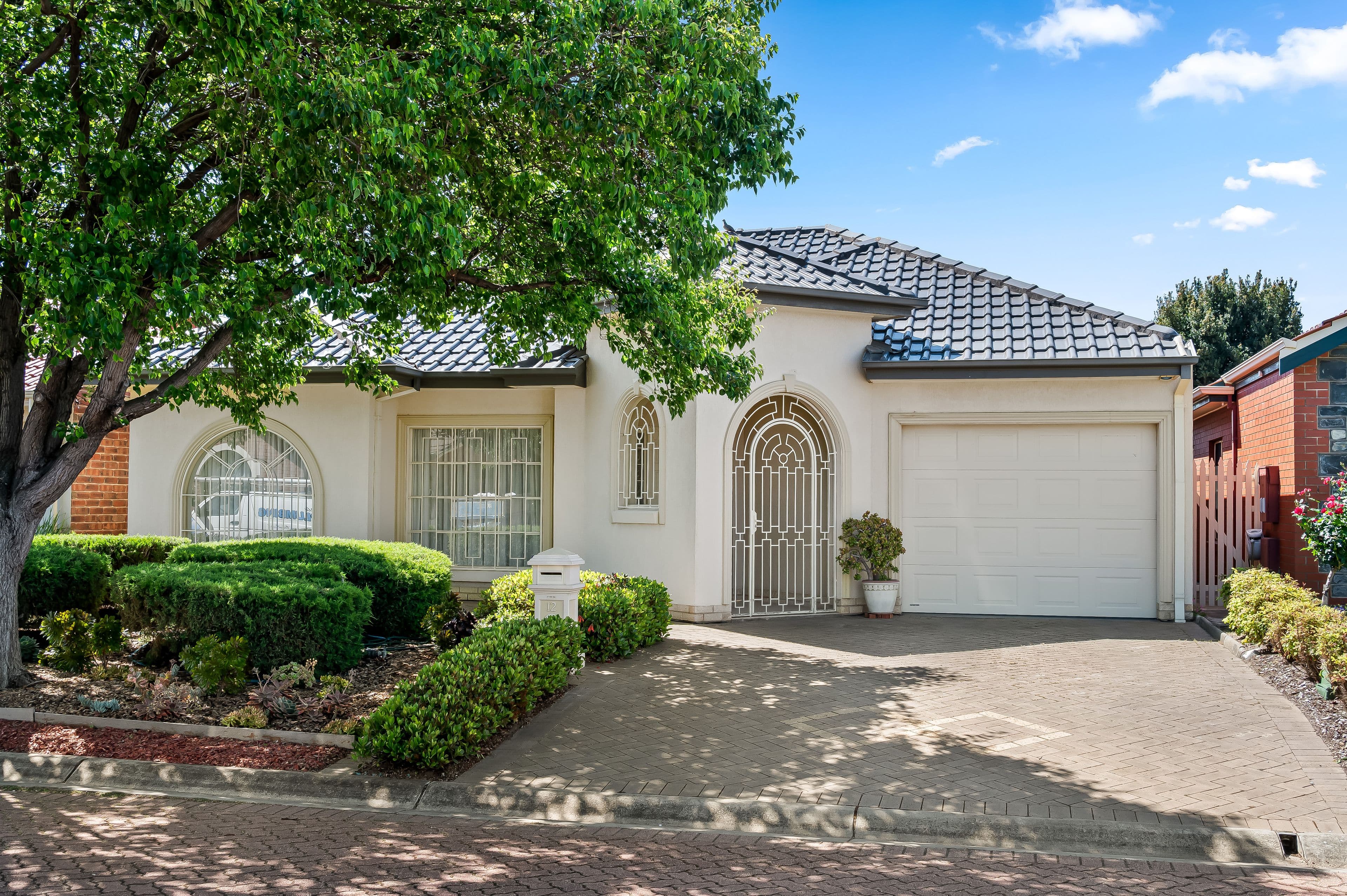 12 Pampas Court , Grange SA 5022, Grange - Thumbnail 2