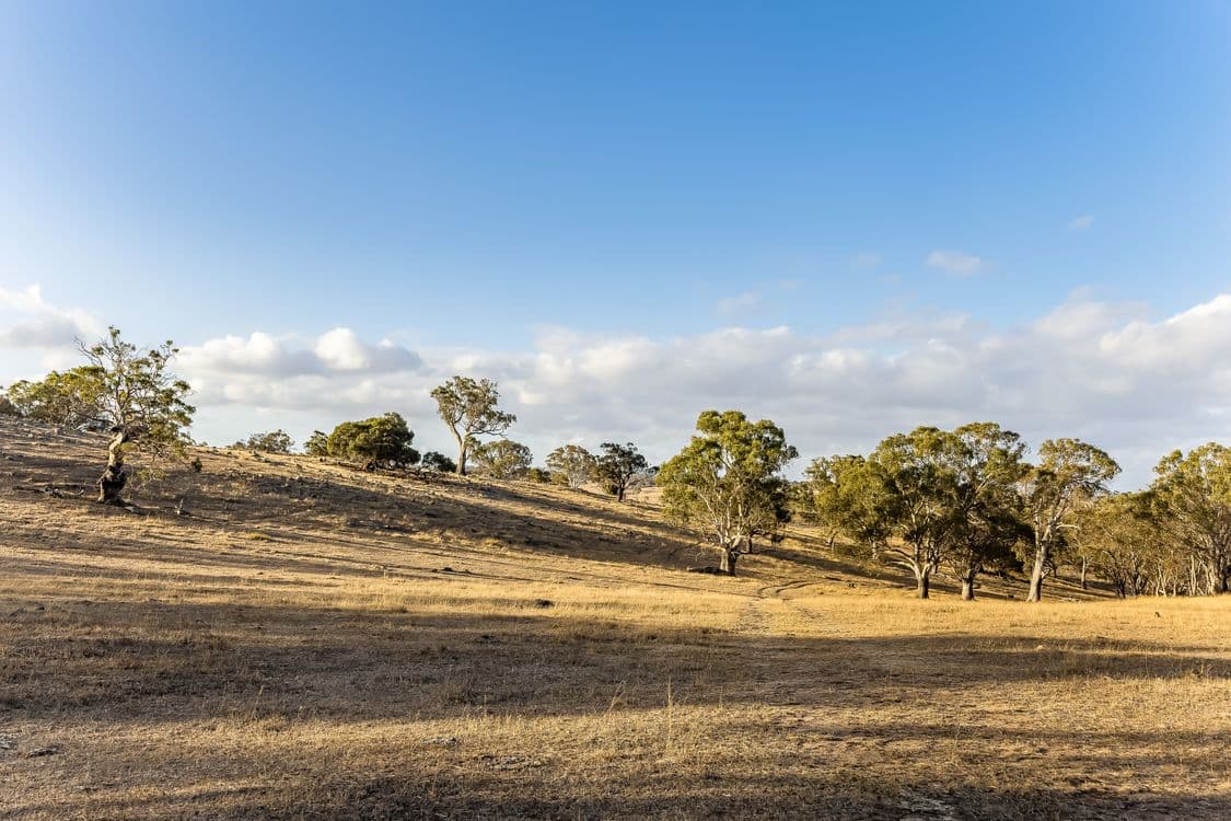 55A Stirling Hill Road, GEMMELLS, SA 5255, Gemmells - Thumbnail 3