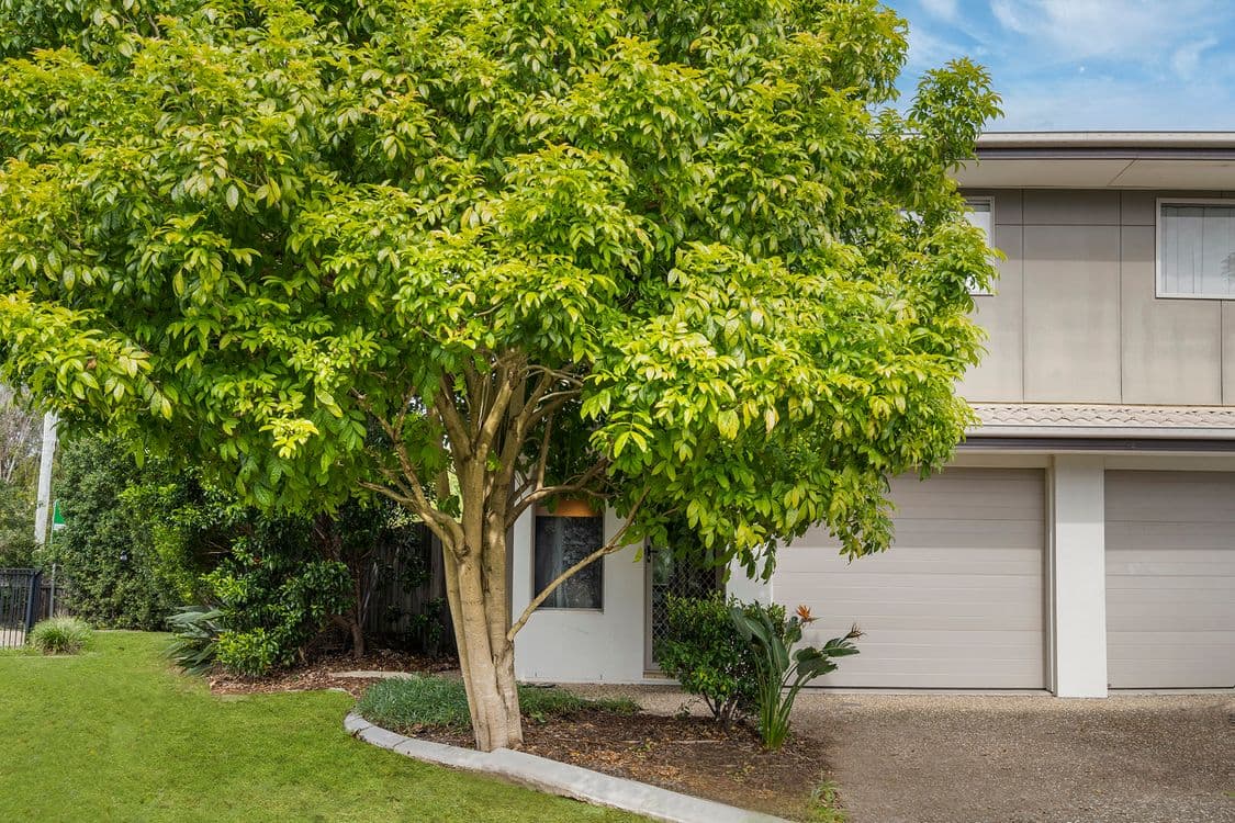 5/1 Cristaldi Avenue, UNDERWOOD, QLD 4119, Underwood - Thumbnail 2