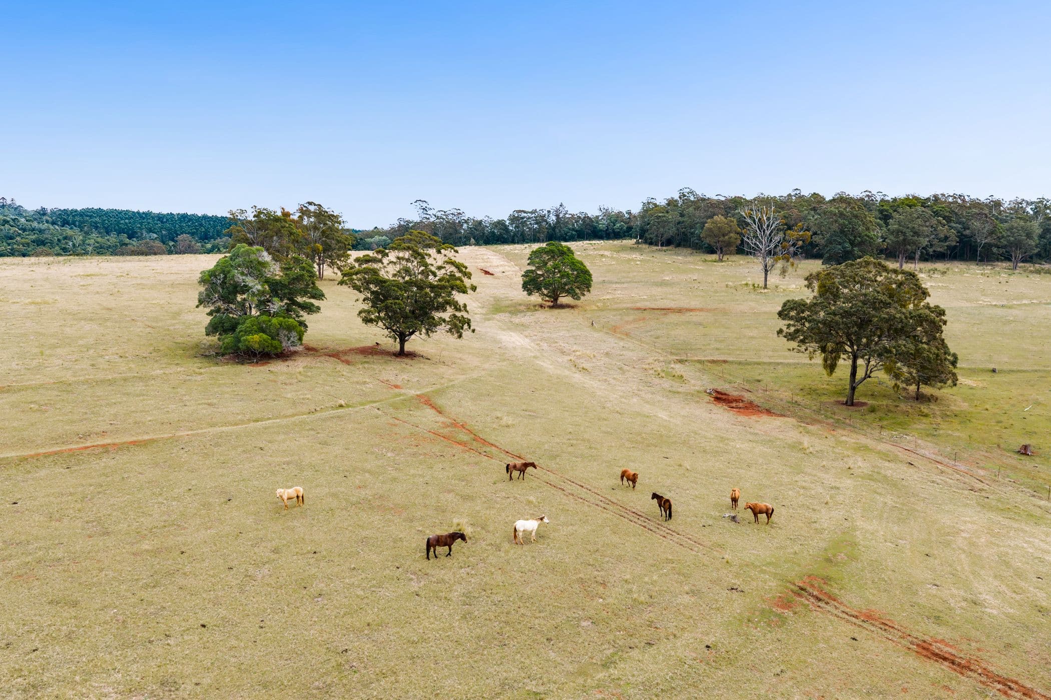 210 Trousdell Road , Googa Creek QLD 4314, Googa Creek - Thumbnail 7