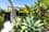 22 Counter Way, ALKIMOS, WA 6038, Alkimos - Image 1