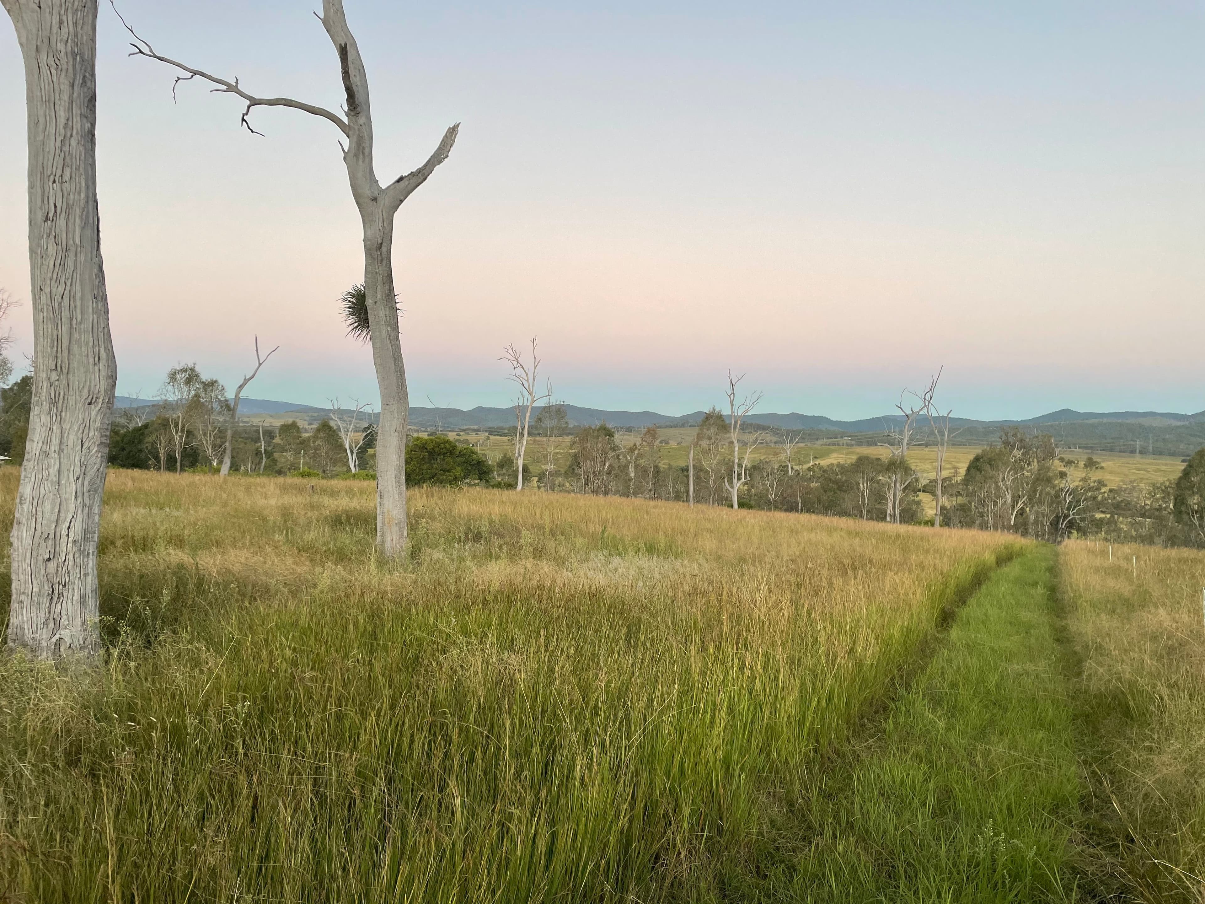 2947 Wivenhoe Somerset Road , Crossdale QLD 4312, Crossdale - Thumbnail 3