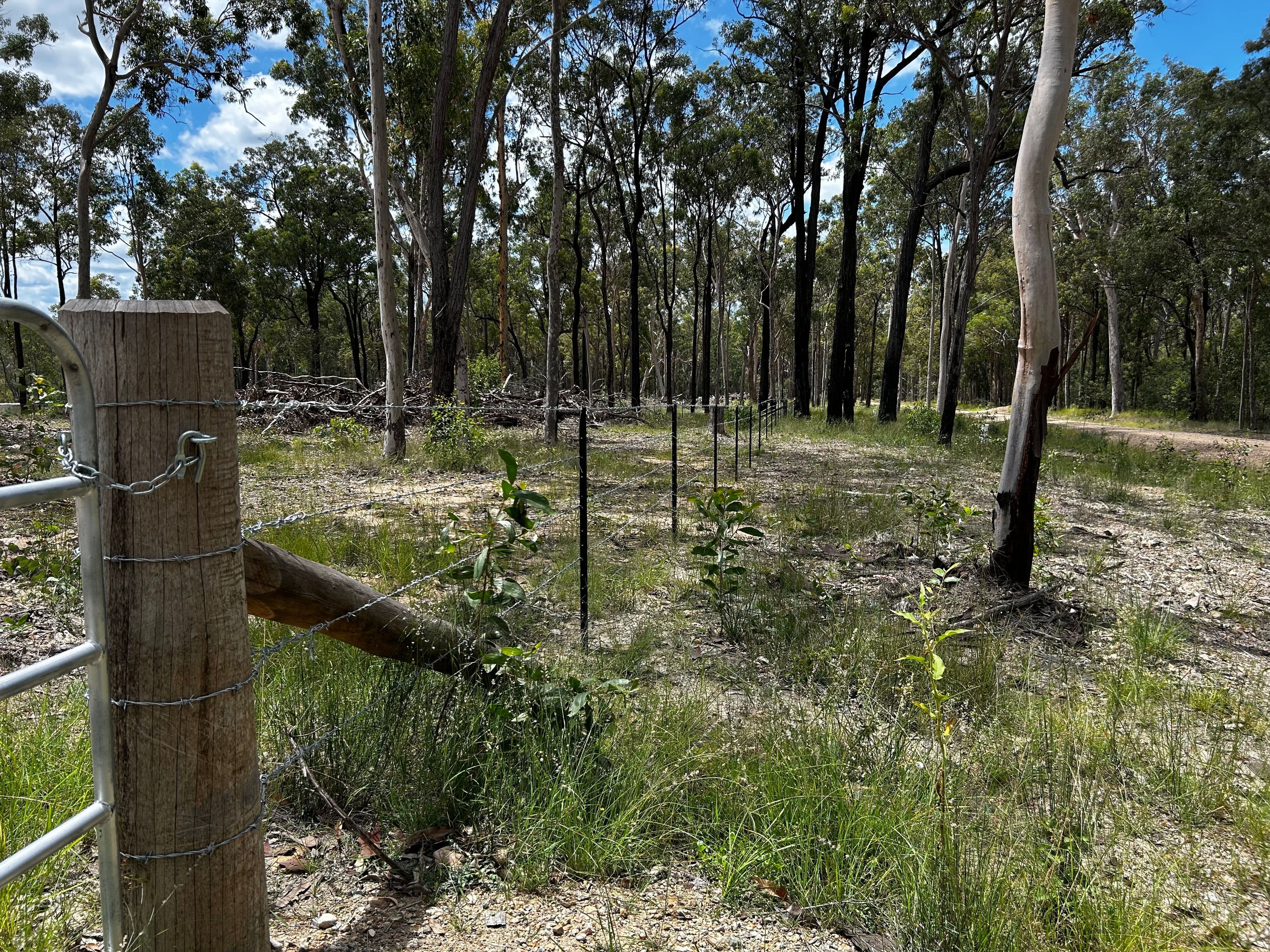 257 Bruxner Road , Drake NSW 2469, Drake - Thumbnail 3