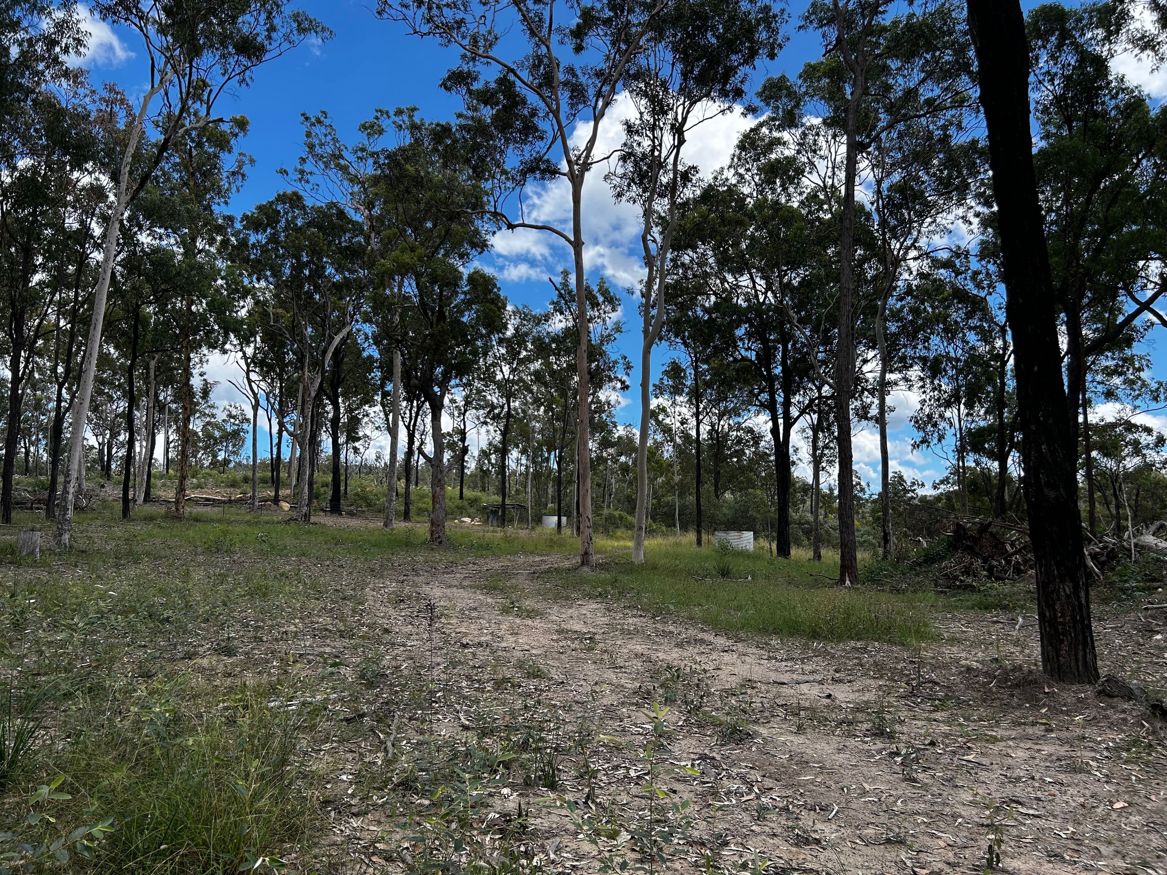 257 Bruxner Road , Drake NSW 2469, Drake - Thumbnail 4