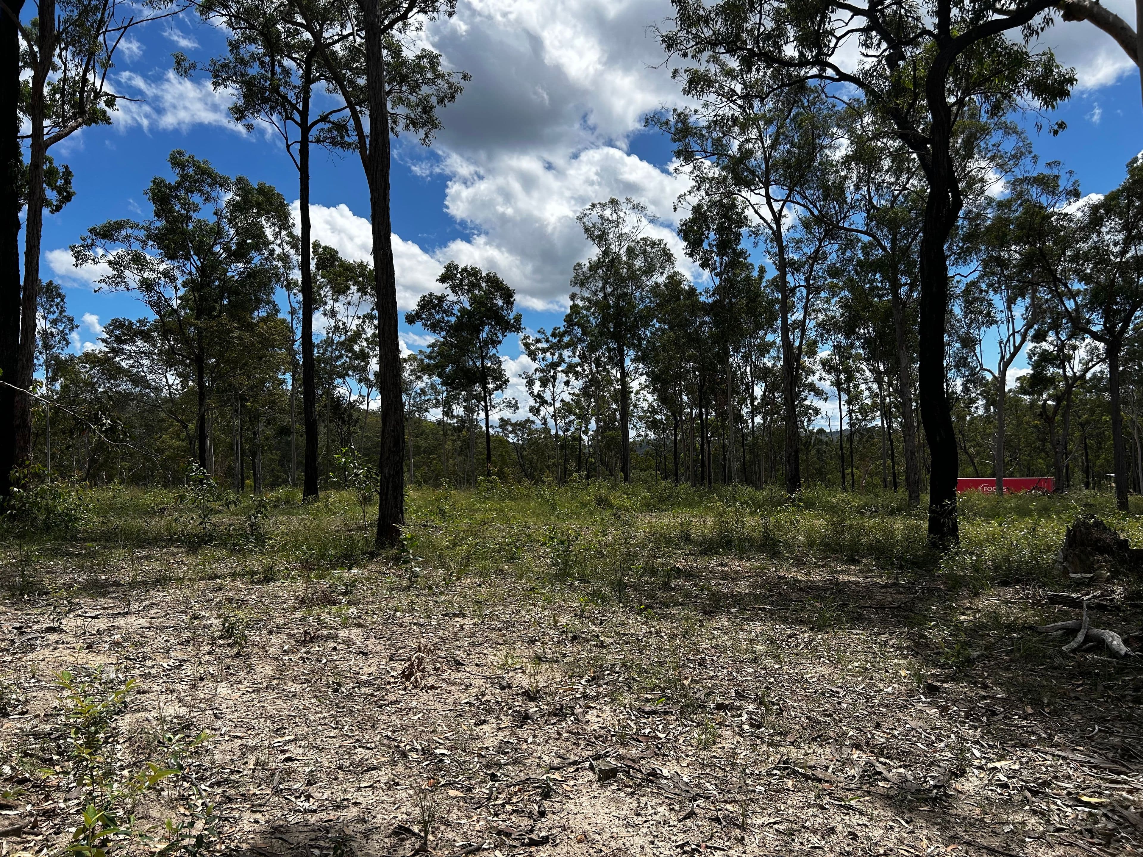 257 Bruxner Road , Drake NSW 2469, Drake - Thumbnail 5