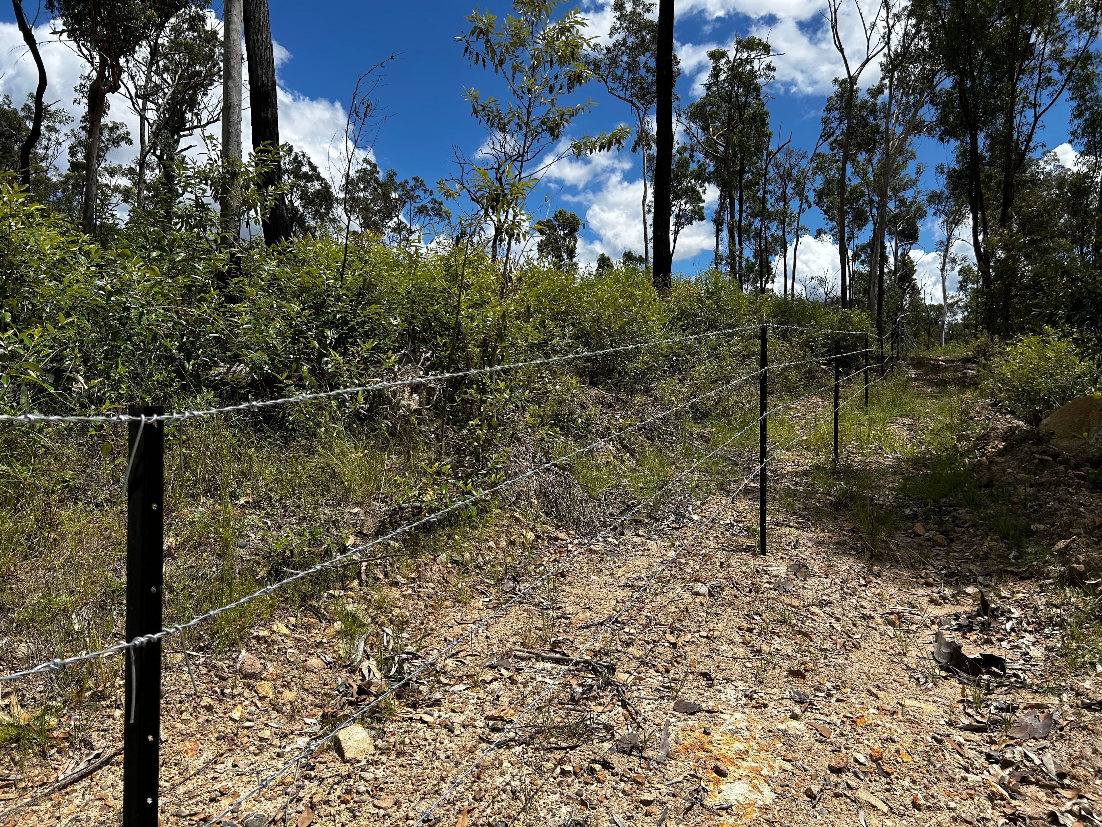257 Bruxner Road , Drake NSW 2469, Drake - Thumbnail 6