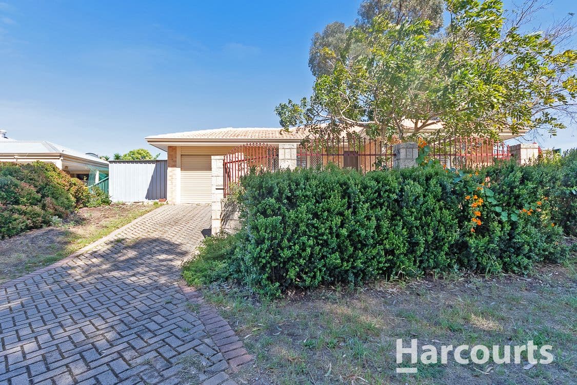 36 Dewar Mews, CLARKSON, WA 6030, Clarkson - Thumbnail 2
