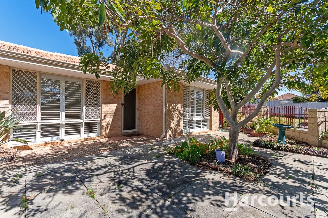 36 Dewar Mews, CLARKSON, WA 6030, Clarkson - Thumbnail 4