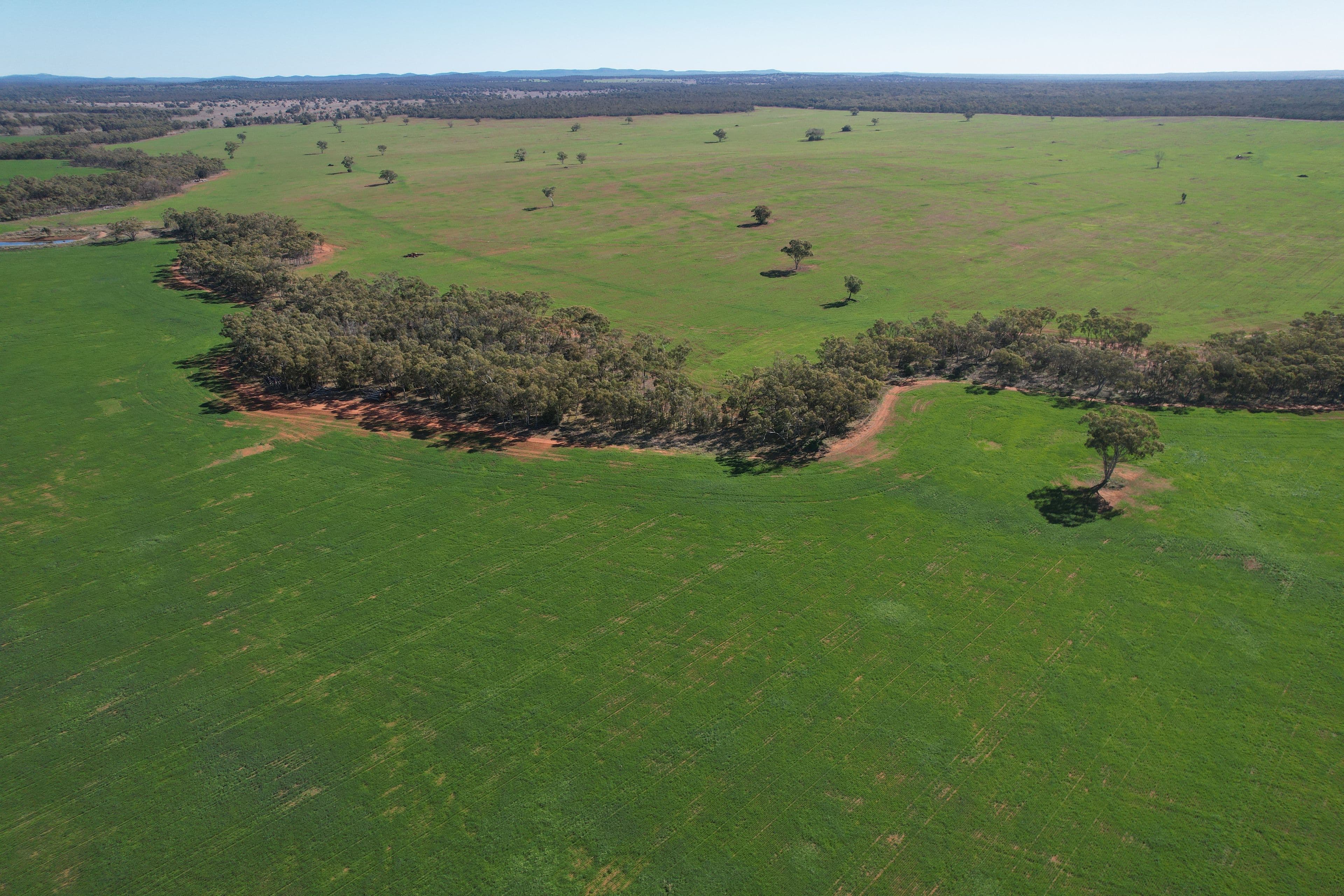 787 Babinda Fire Trail , Hermidale NSW 2831, Hermidale - Thumbnail 2