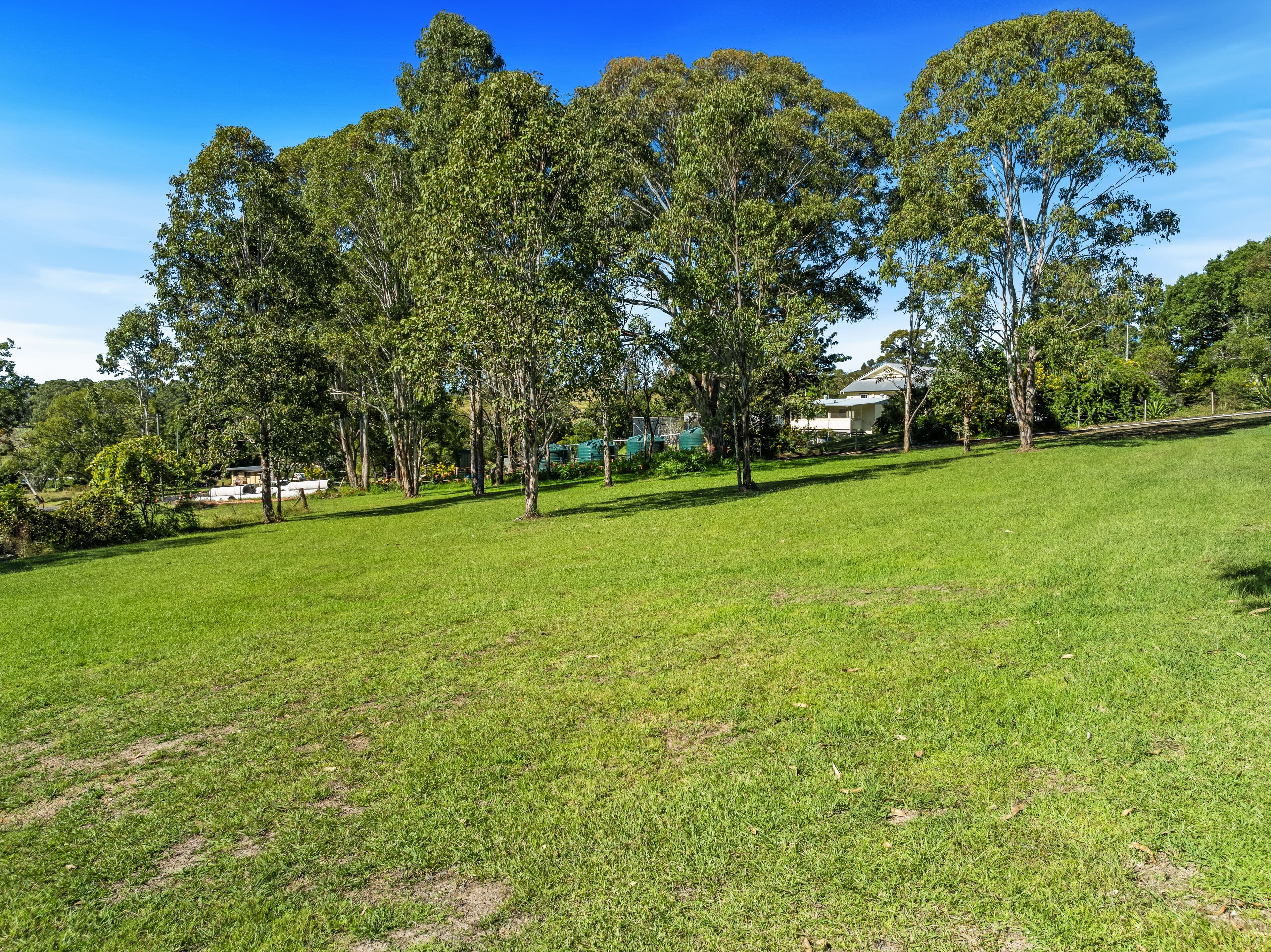 44 Allison Street , Drake NSW 2469, Drake Village - Thumbnail 3