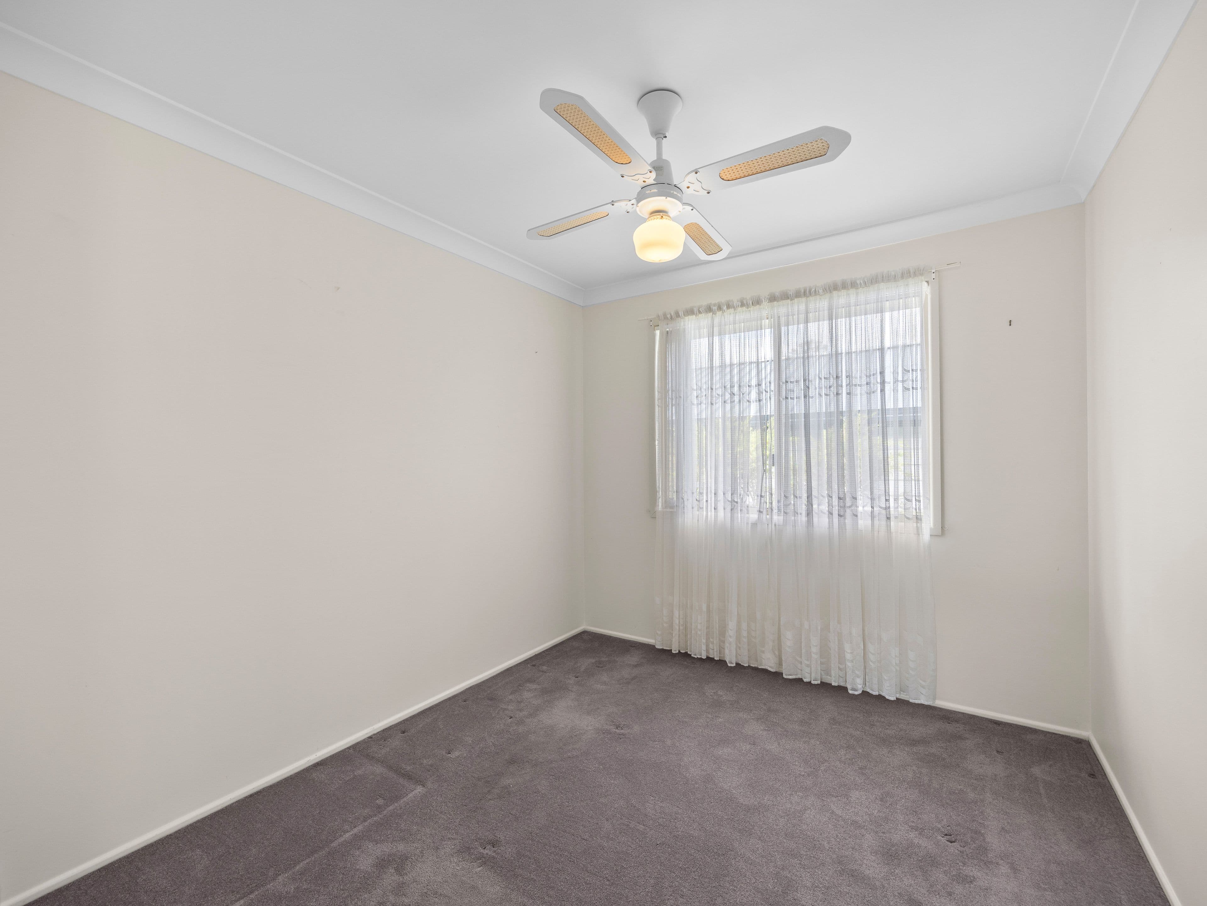 22 Jones Street , Mooloolah Valley QLD 4553, Mooloolah Valley - Thumbnail 7