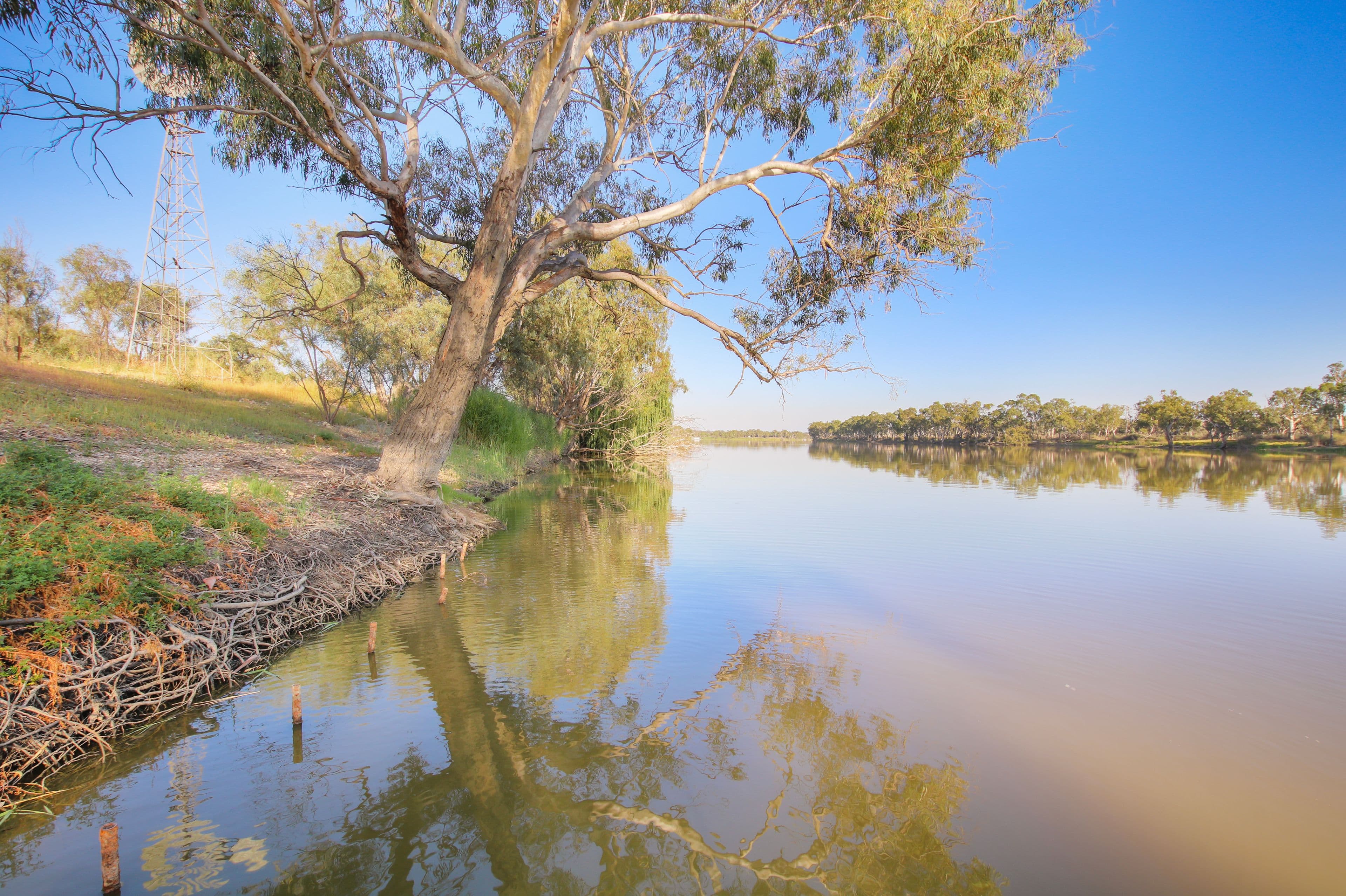 13583 Sturt Highway , Lowbank SA 5330, Lowbank - Thumbnail 3