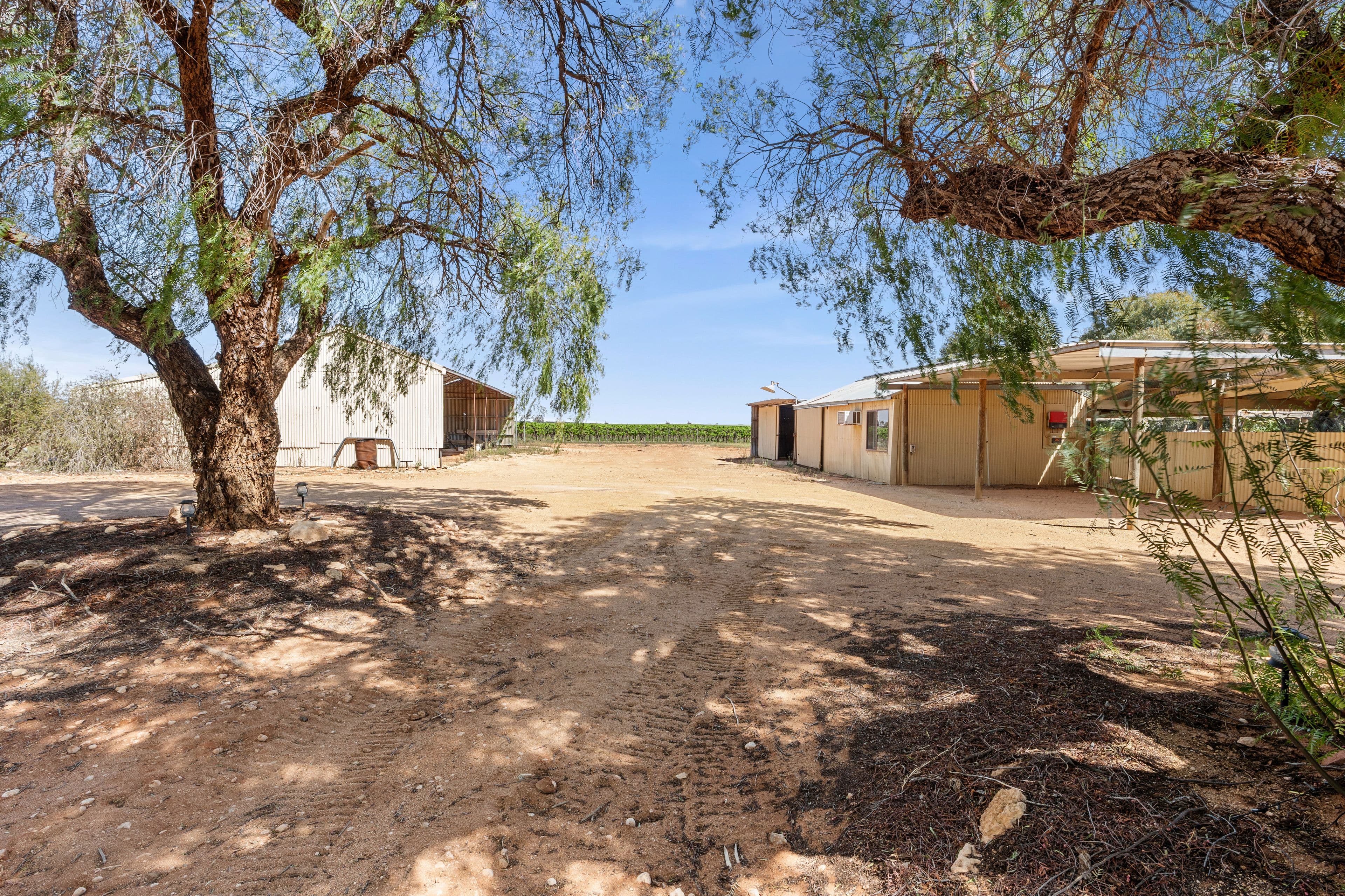 38 Gray Road , Moorook SA 5332, Moorook - Thumbnail 2