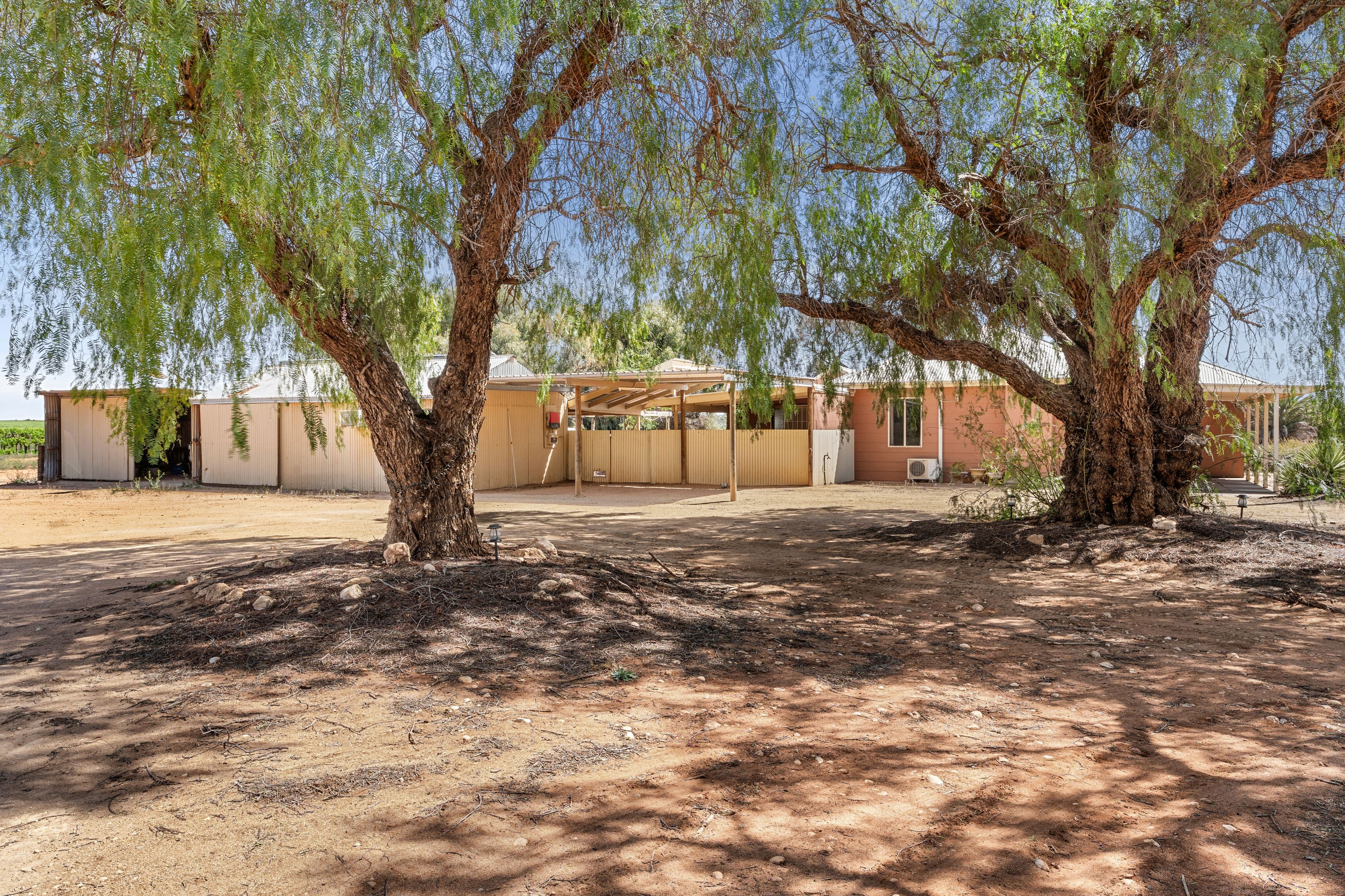 38 Gray Road , Moorook SA 5332, Moorook - Thumbnail 3