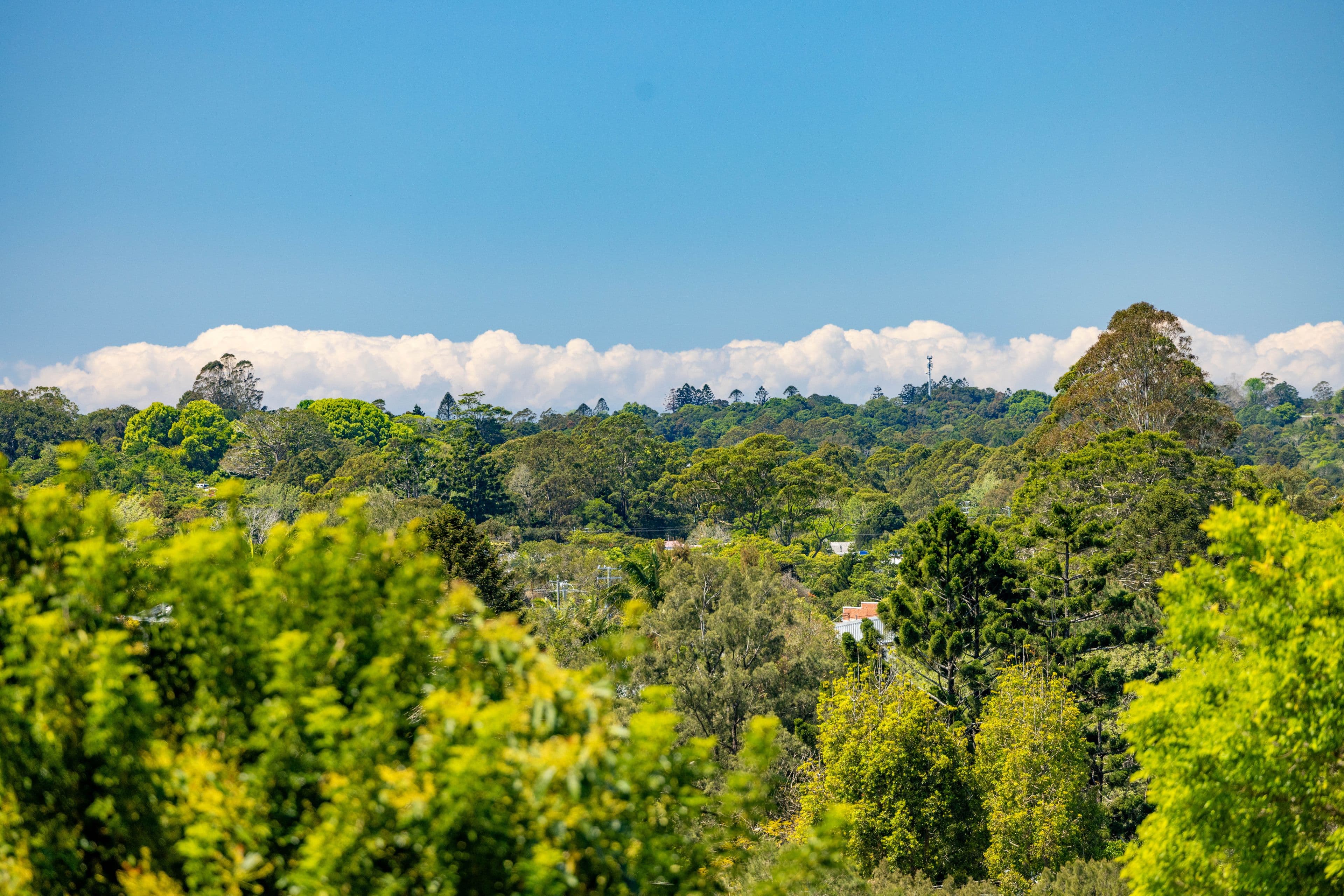 33 Laurel Street , Maleny QLD 4552, Maleny - Thumbnail 5