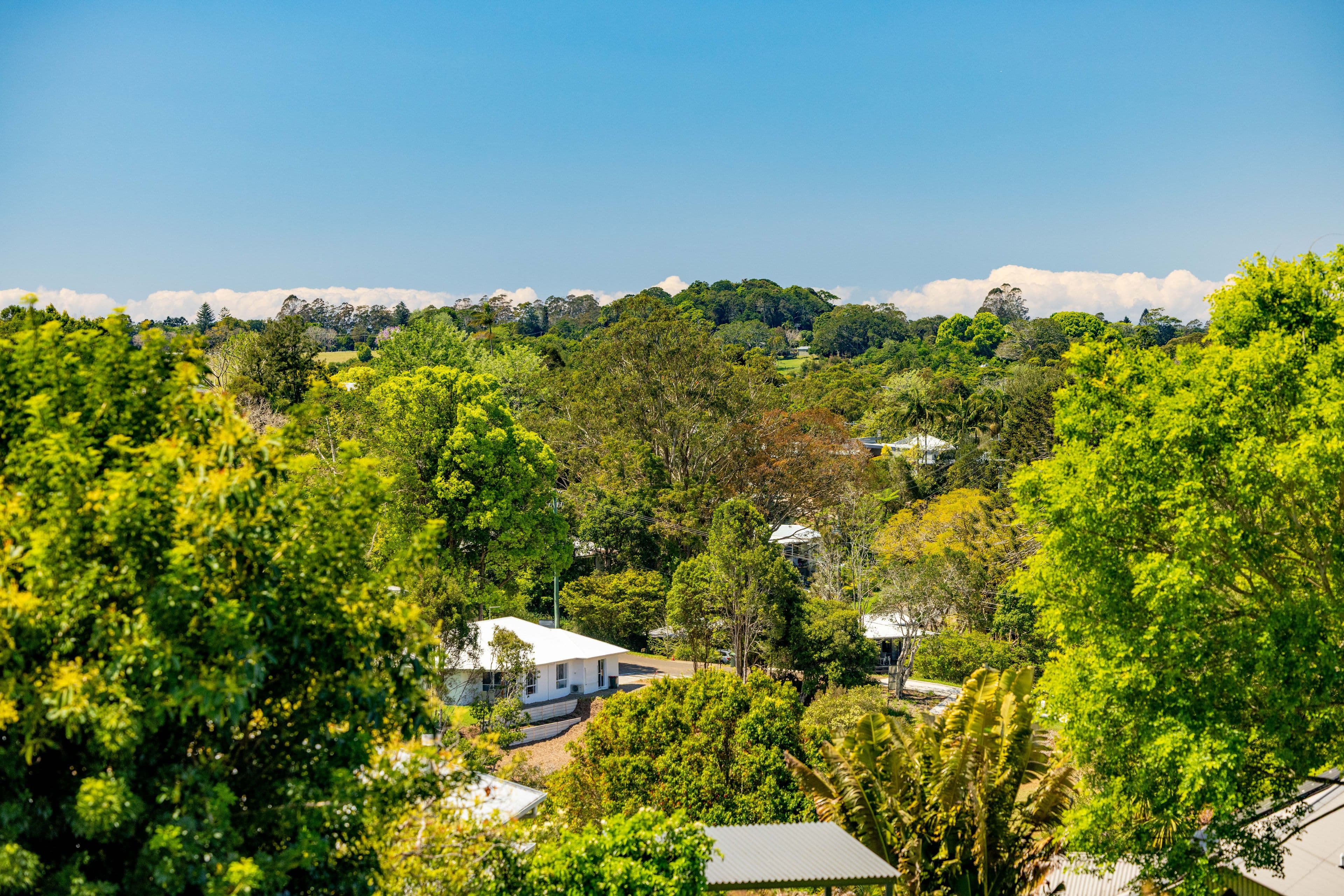 33 Laurel Street , Maleny QLD 4552, Maleny - Thumbnail 7