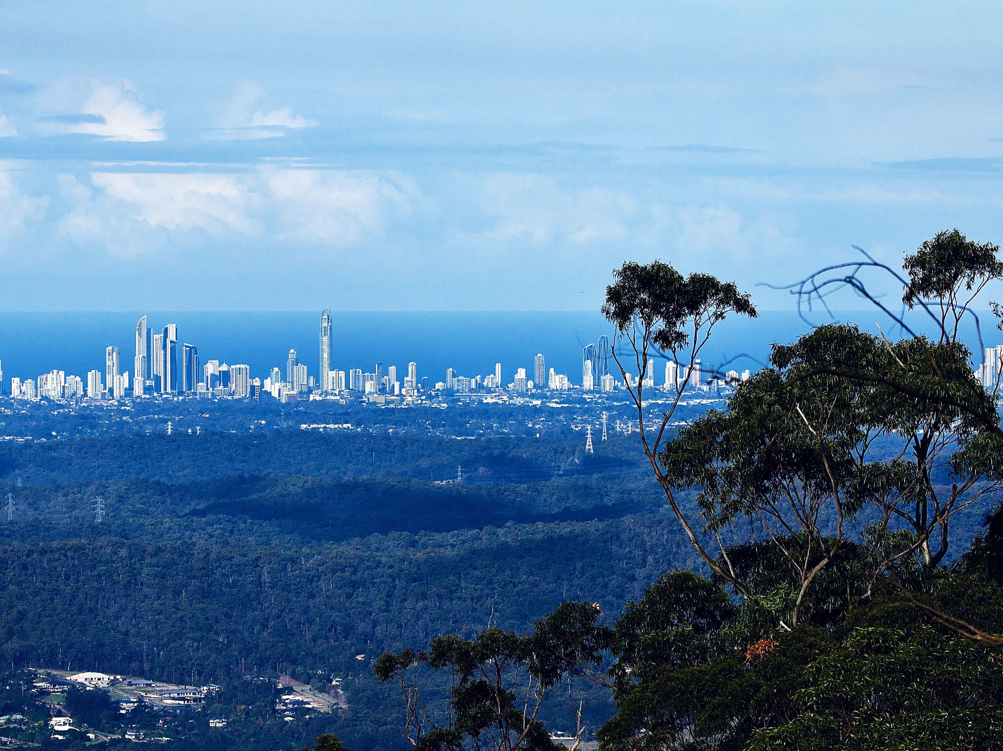 7 Witherby Crescent , Tamborine Mountain QLD 4272, Tamborine Mountain - Thumbnail 2