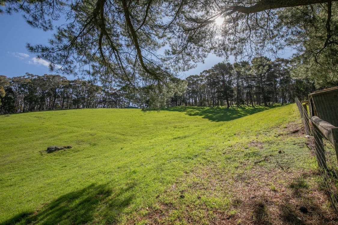 140 Gully Road, CAREY GULLY, SA 5144, Carey Gully - Thumbnail 3
