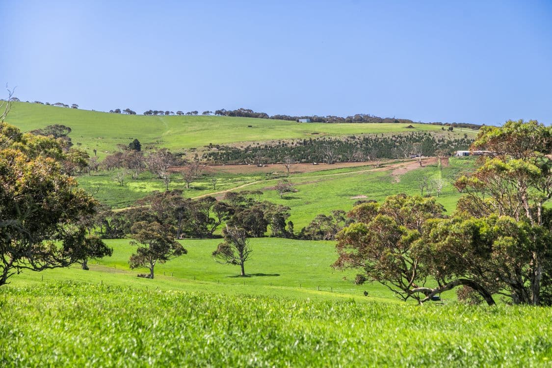 Lots 1474 & 10 Bennett Road, CAPE JERVIS, SA 5204, Cape Jervis - Image 1