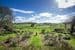 210 Ironstone Road, ECHUNGA, SA 5153, Echunga - Thumbnail 2