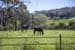 620A Springs Road, MOUNT BARKER, SA 5251, Mount Barker - Thumbnail 2