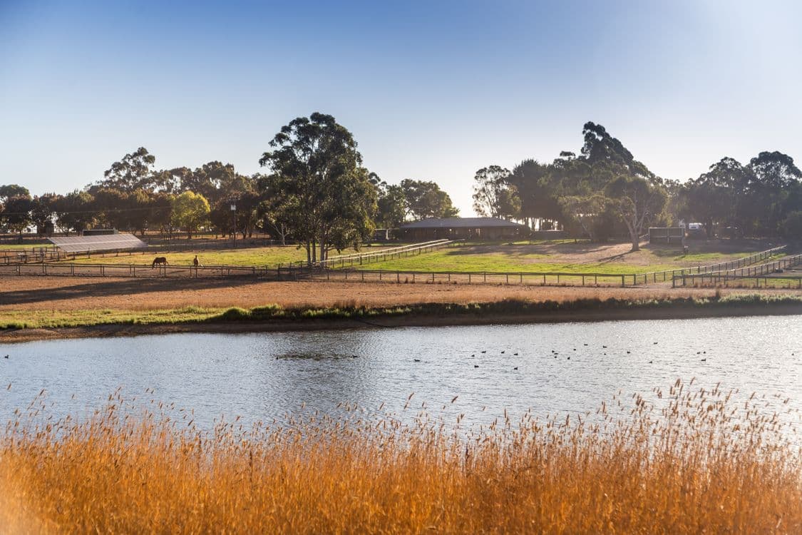 154 Diggings Road (adj. Mylor & Echunga), CHAPEL HILL, SA 5153, Chapel Hill - Thumbnail 4