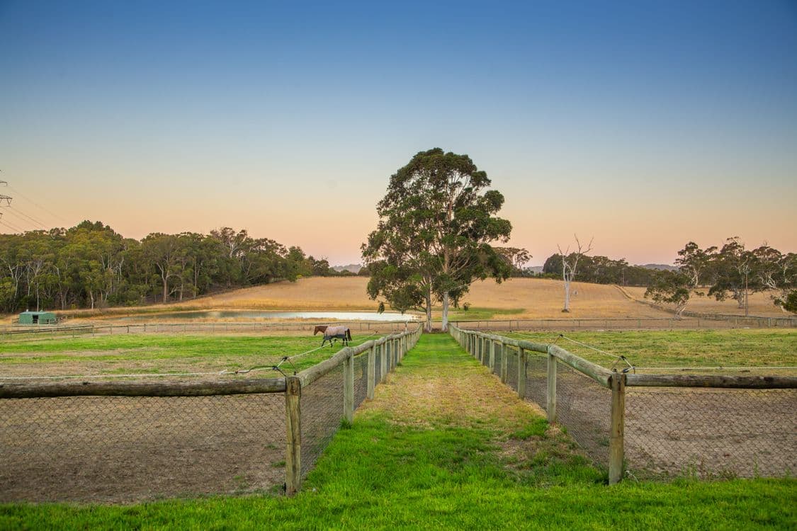 154 Diggings Road (adj. Mylor & Echunga), CHAPEL HILL, SA 5153, Chapel Hill - Thumbnail 5