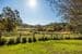 19 Sprigg Road, CRAFERS, SA 5152, Crafers - Thumbnail 3
